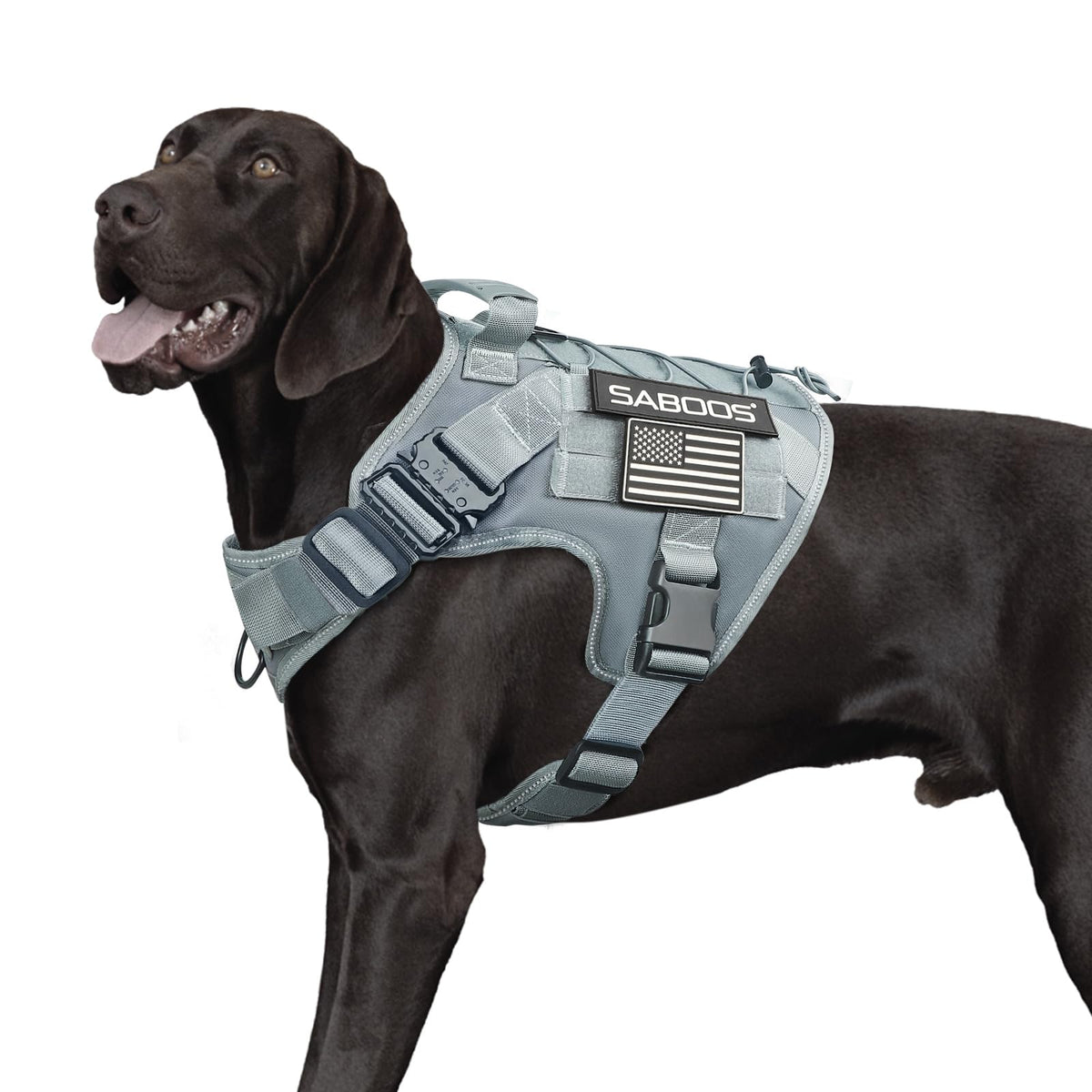 Saboos Animal Harness in S, Grey