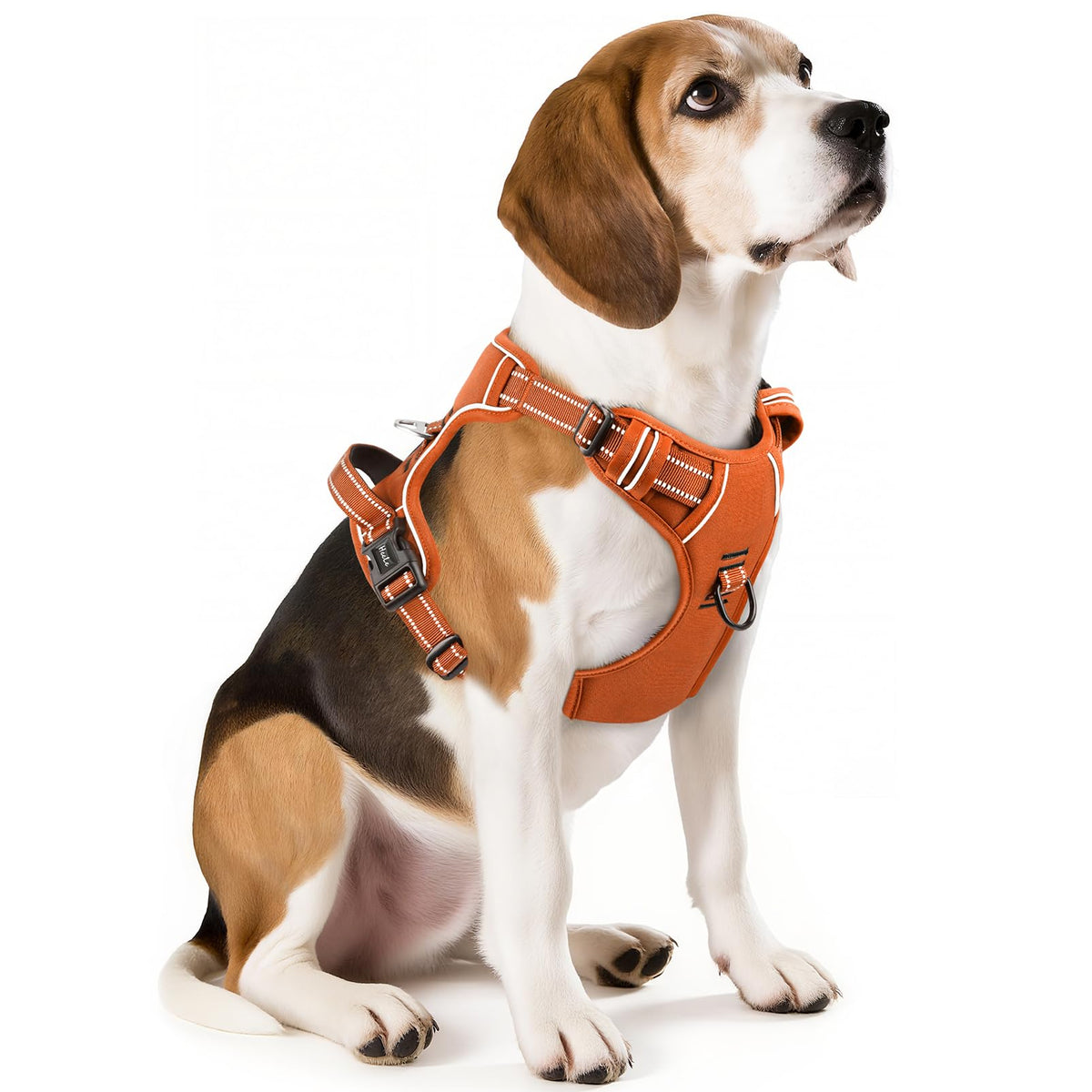 HEELE Animal Harness in M, Pumpkin Orange
