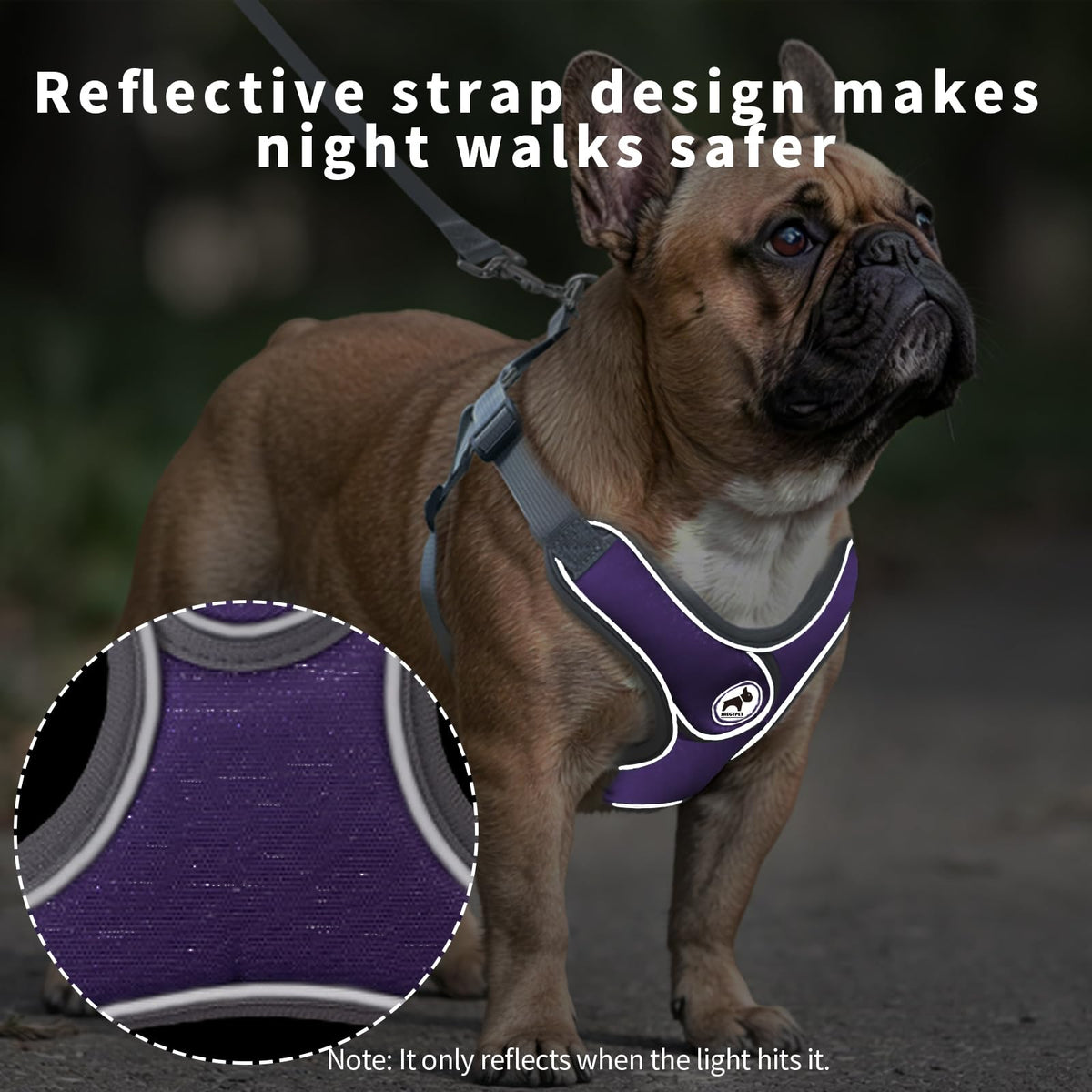 SAEGYPET Animal Harness in XS, Purple