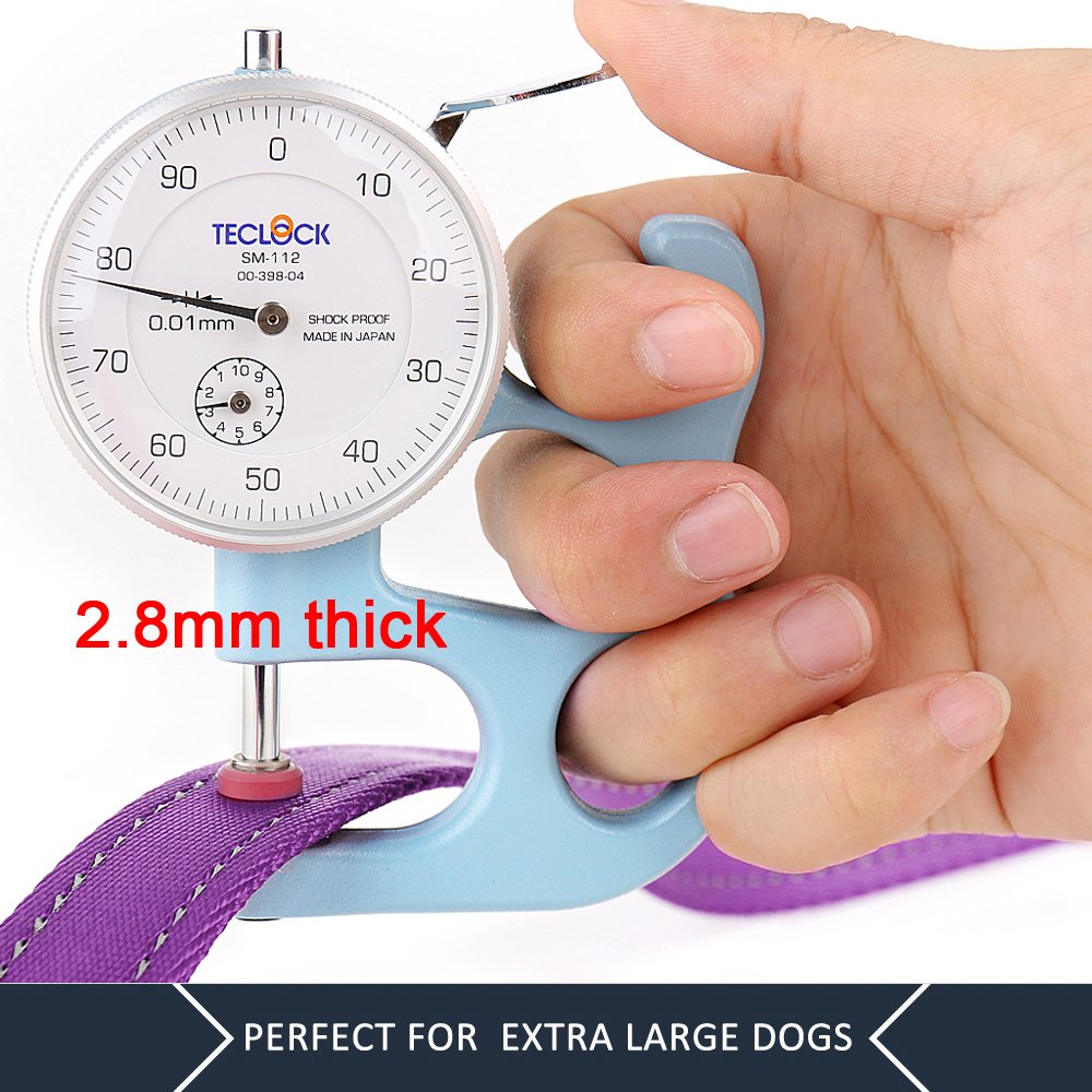 PLUTUS PET Leash in 4 FT, Purple
