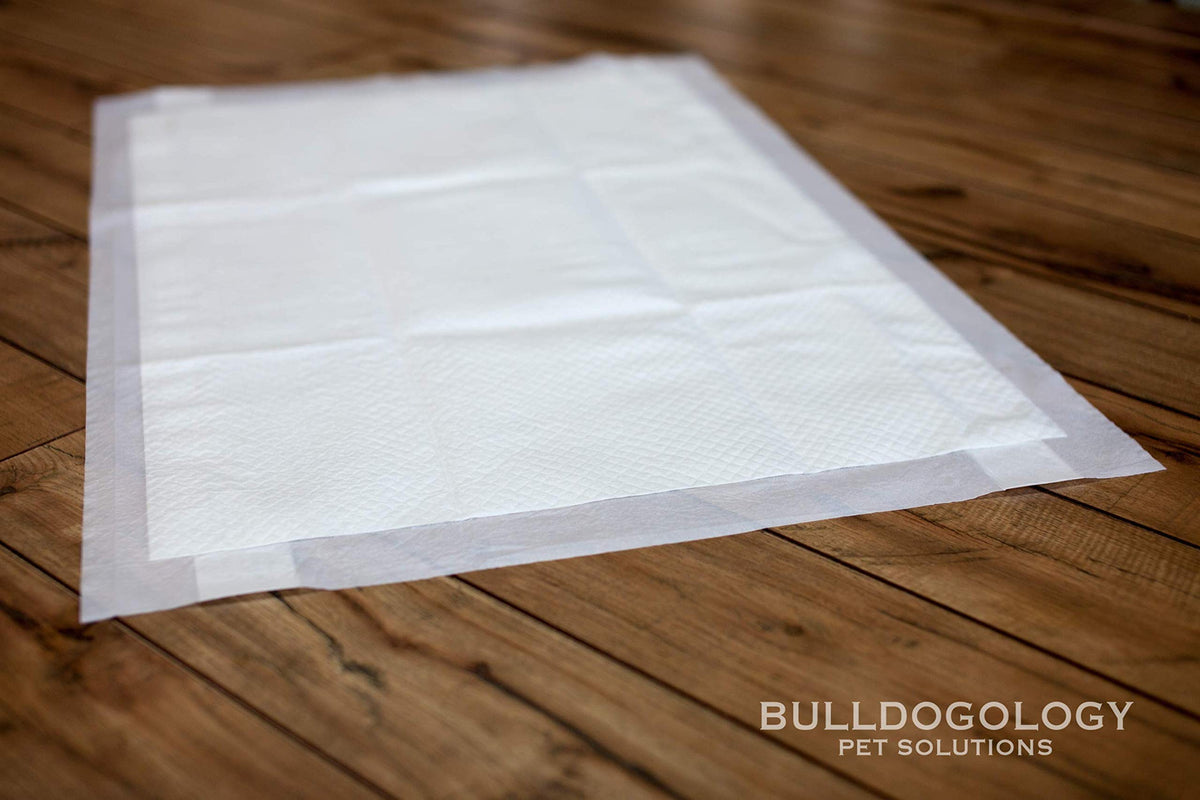 Bulldogology Pet Solutions Disposable Incontinence Surface Protector in 60-Count (24x35), White