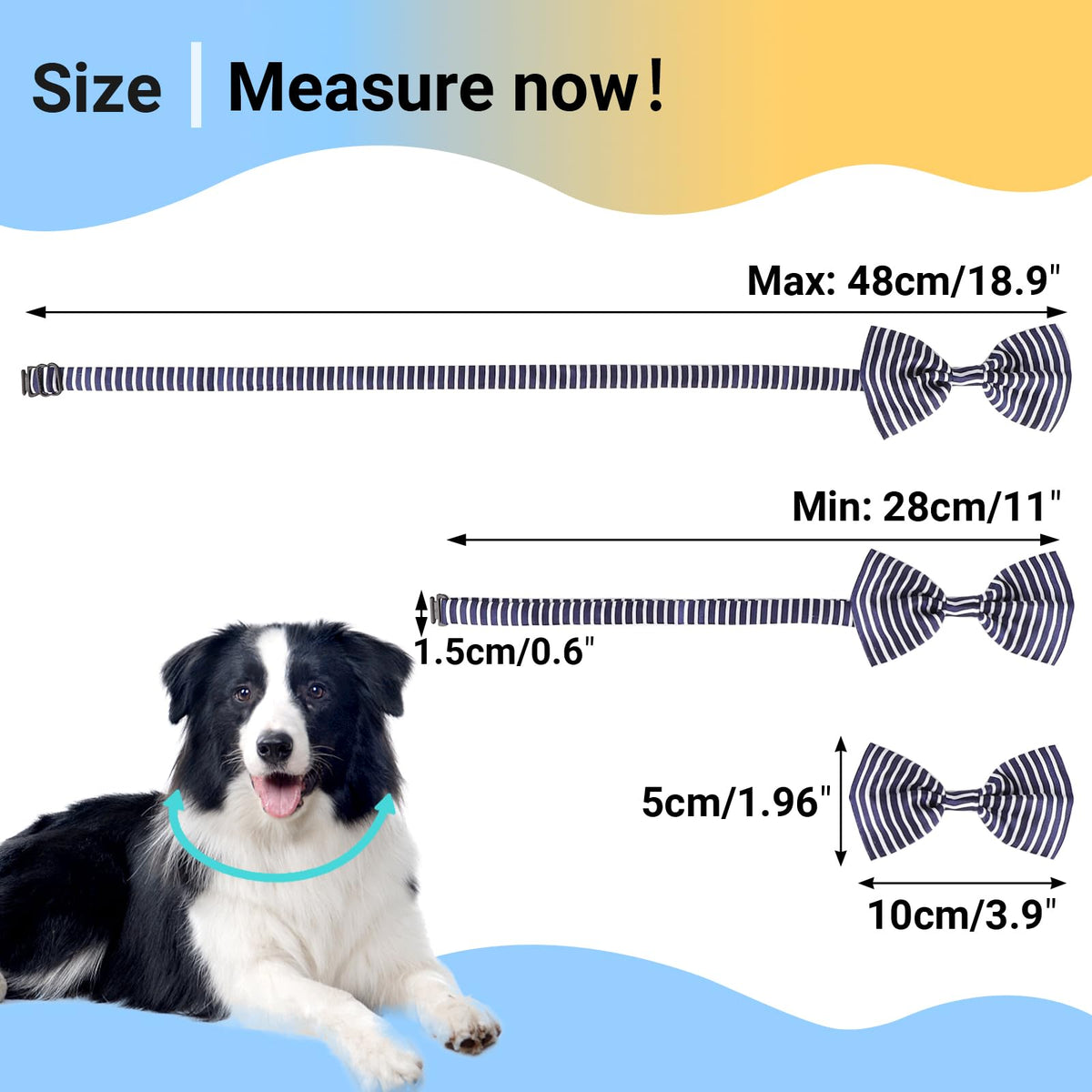 Segarty Pet Apparel in 40PCS, 40pcs-vivid