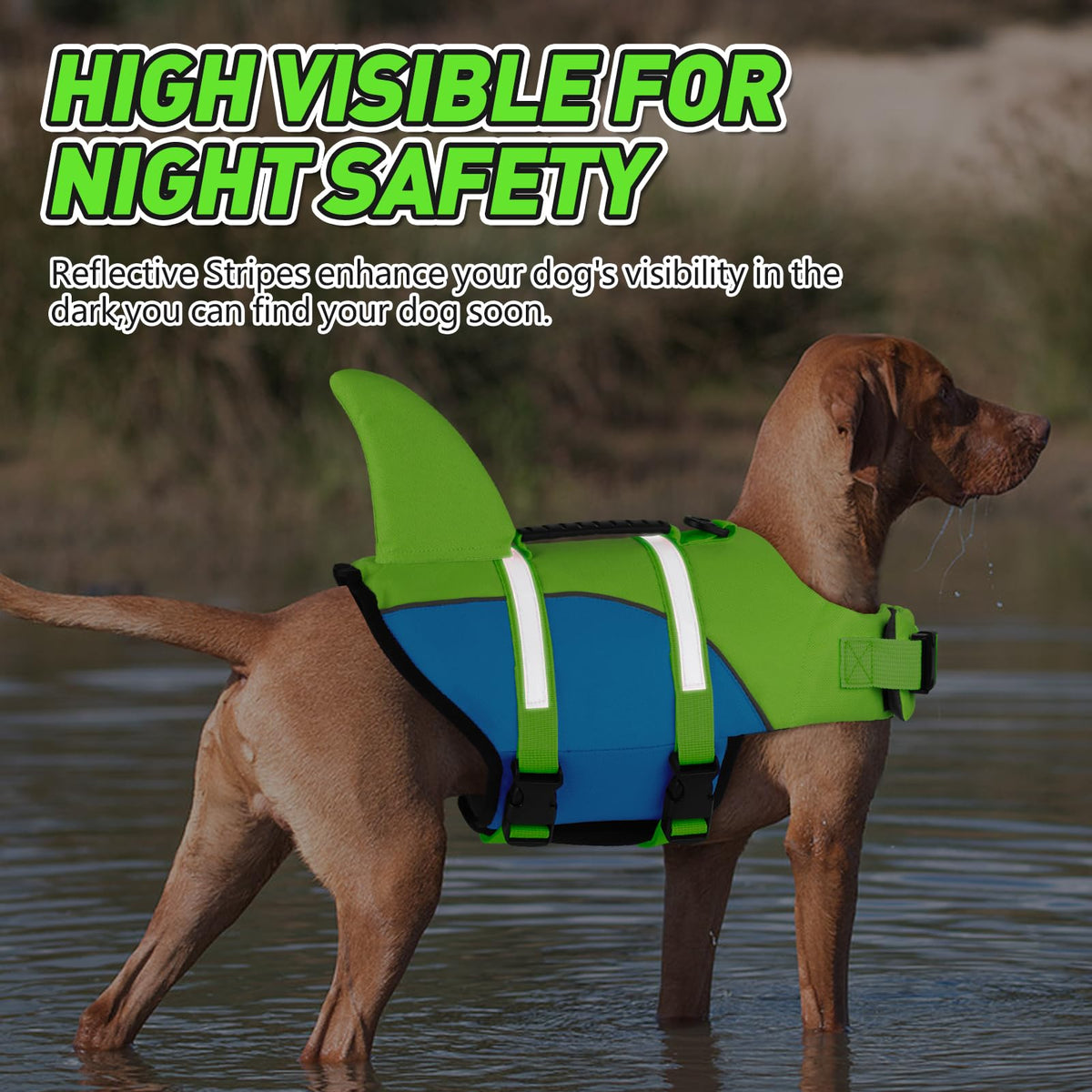 Doglay Pet Apparel in X-small, Fluorescent Green & Blue