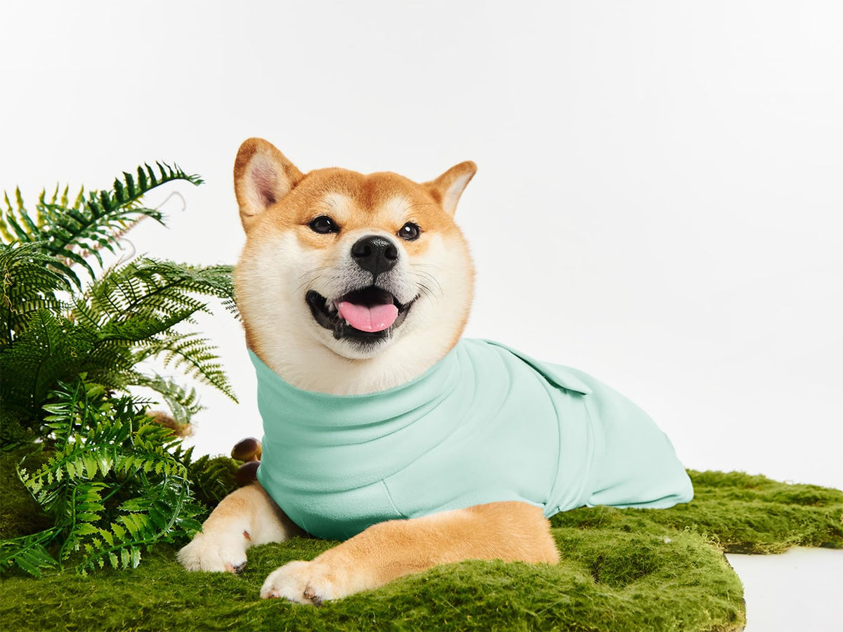 Haloumoning Pet Apparel in X-Small, Mint Green
