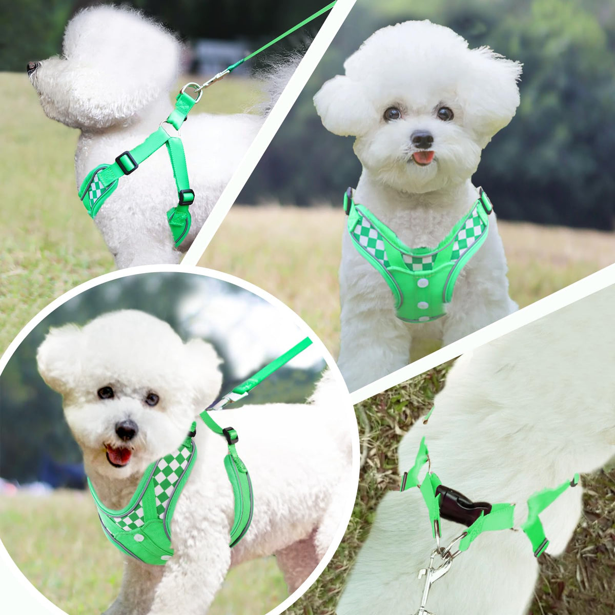 SAEGYPET Animal Harness in S, Green (denim)
