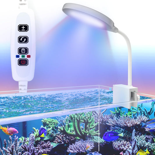 Teddykala Lamp in Round+BlueRed+Timer+Dimmer+10 Gal, White