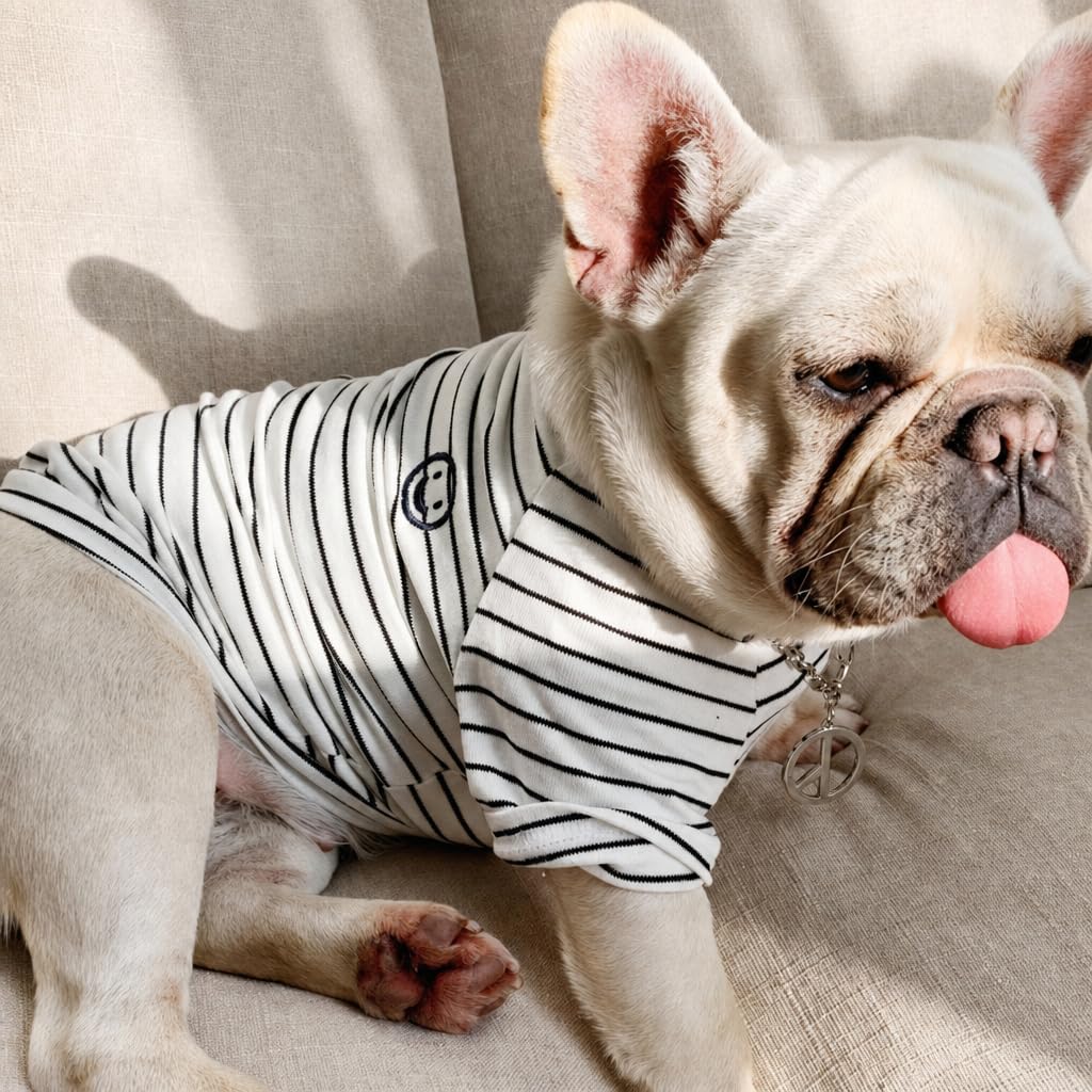 Wiz BBQT Pet Apparel in Pet XS - Chest 11.8", White
