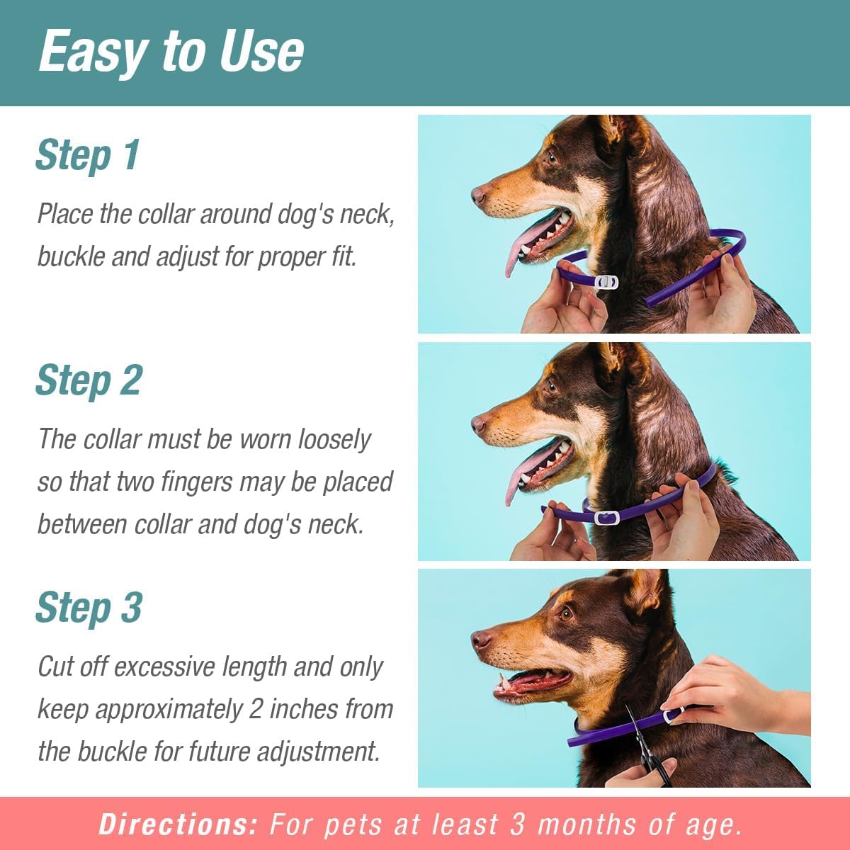 ZingZap Pet Pest Control in Grey