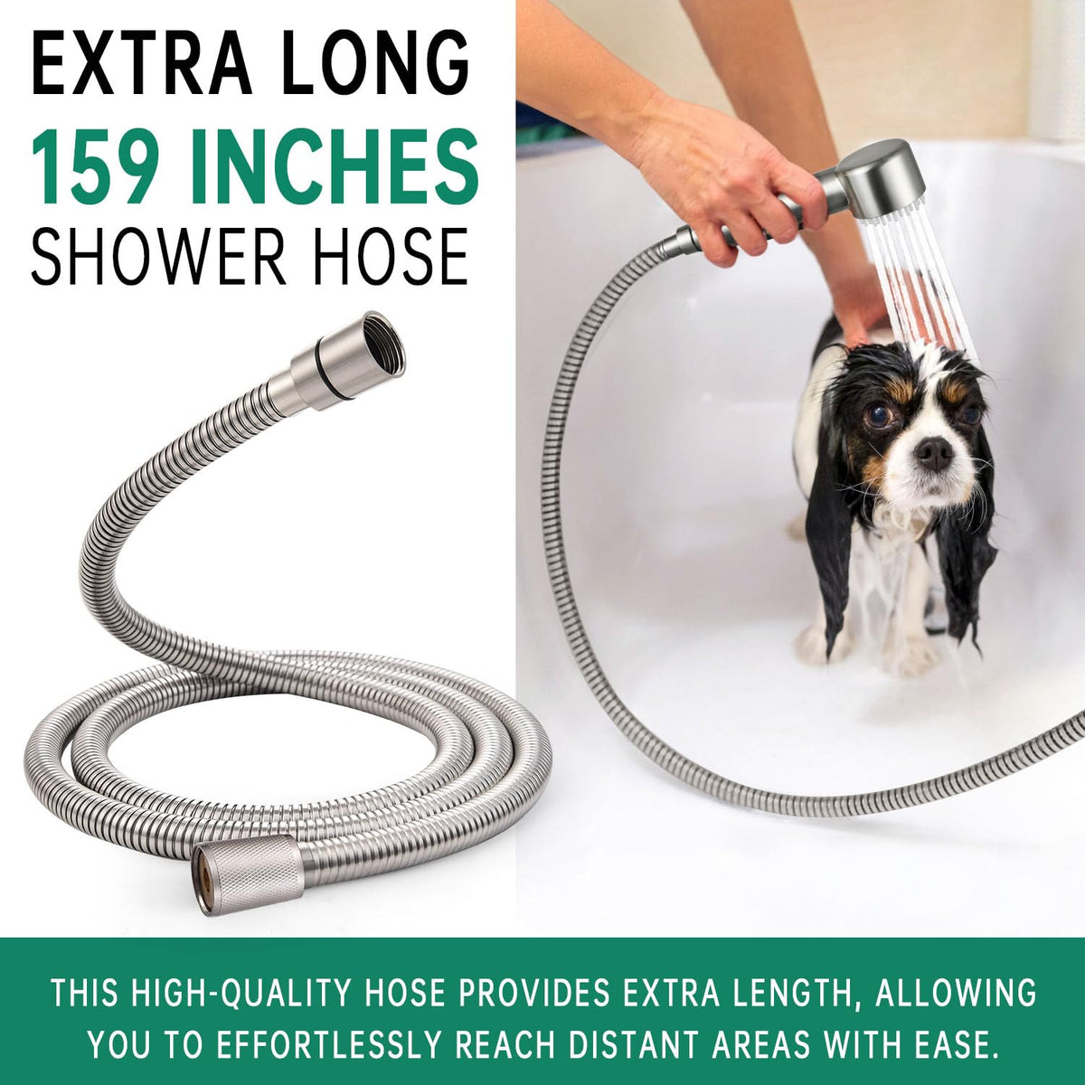 V-Frankness Showerhead in 159 Inches Hose, Brushed Nickel