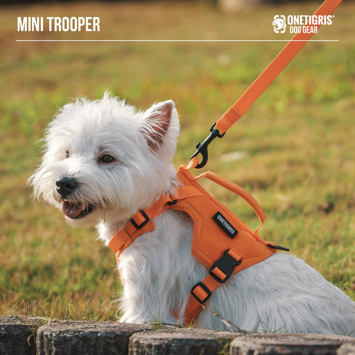 ONETIGRIS Animal Harness in XXXS, Black