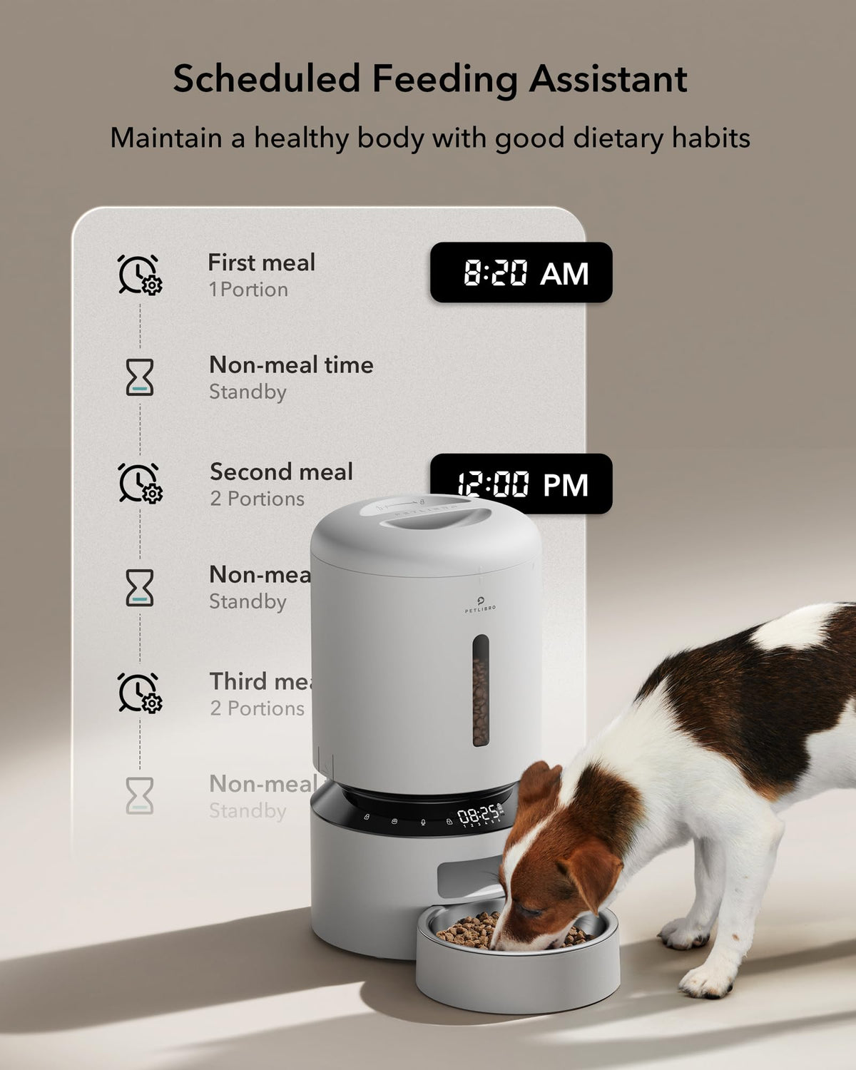 PETLIBRO Pet Feeder in Basic, White