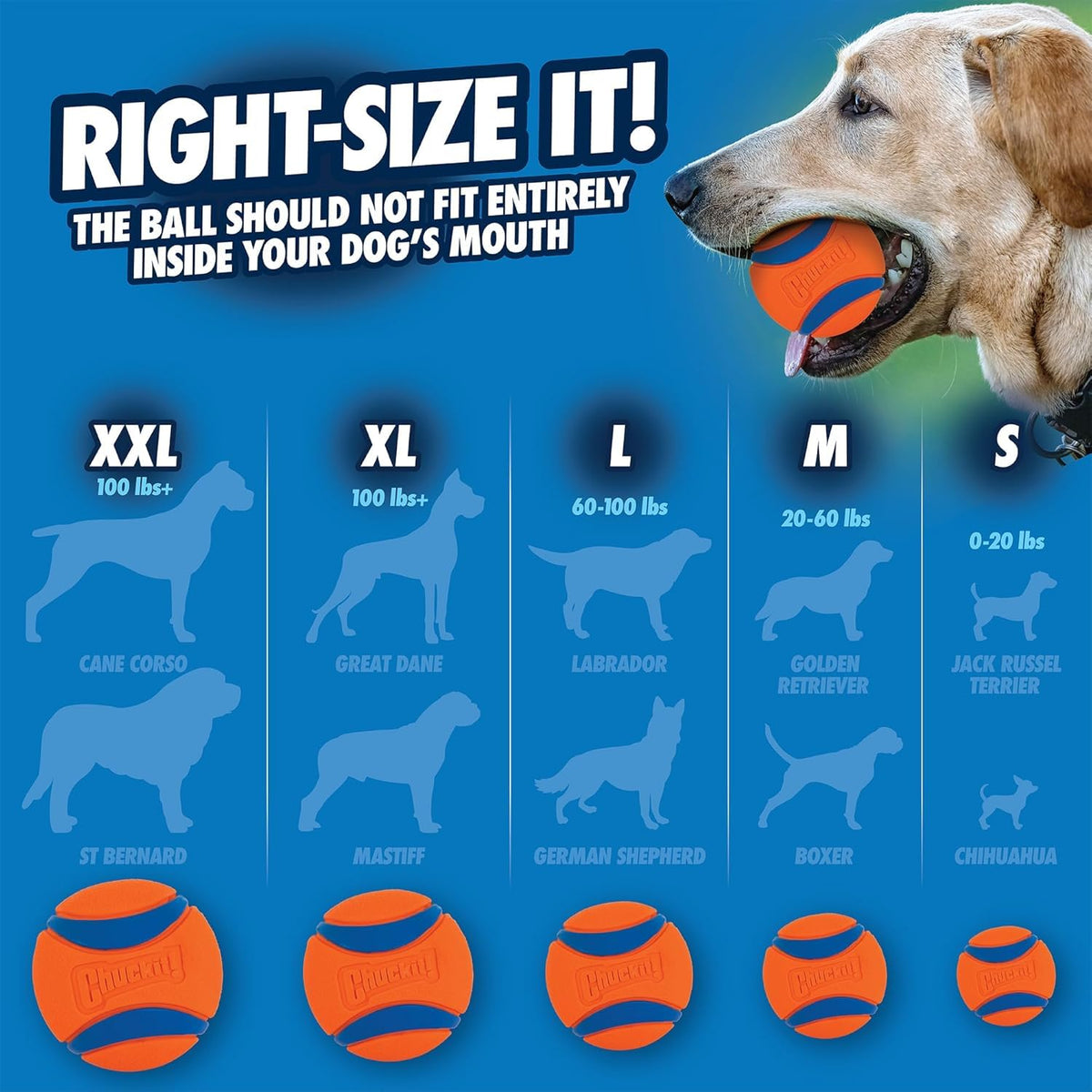 Chuckit! Pet Toy in Medium (Pack of 3), Ultra