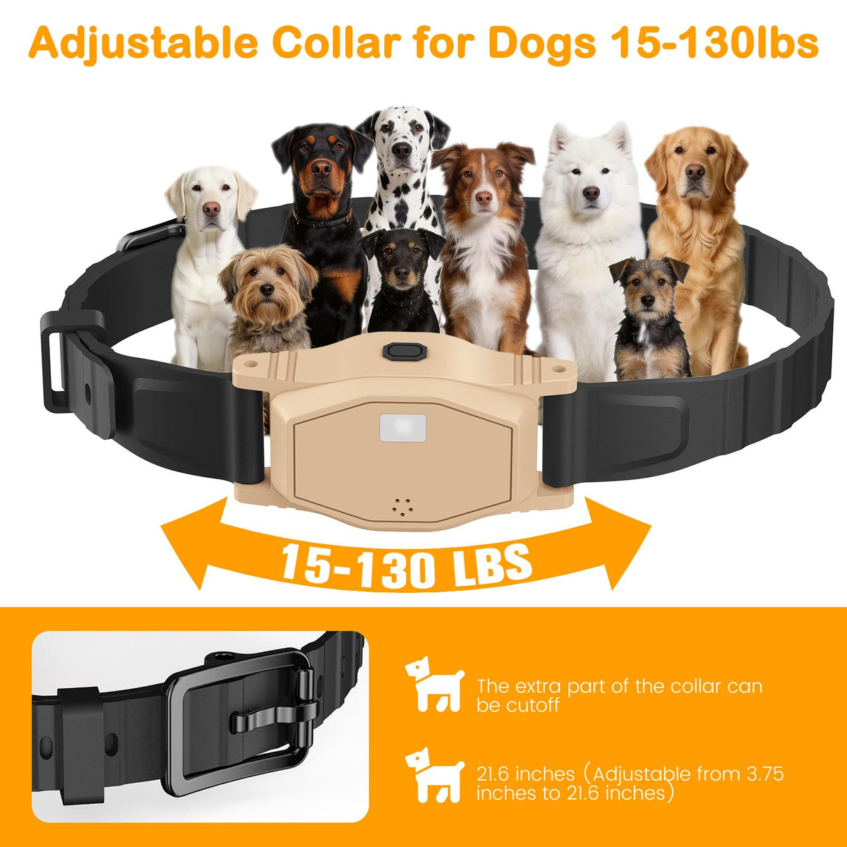 Pawton Animal Collar in Medium, Large, khaki