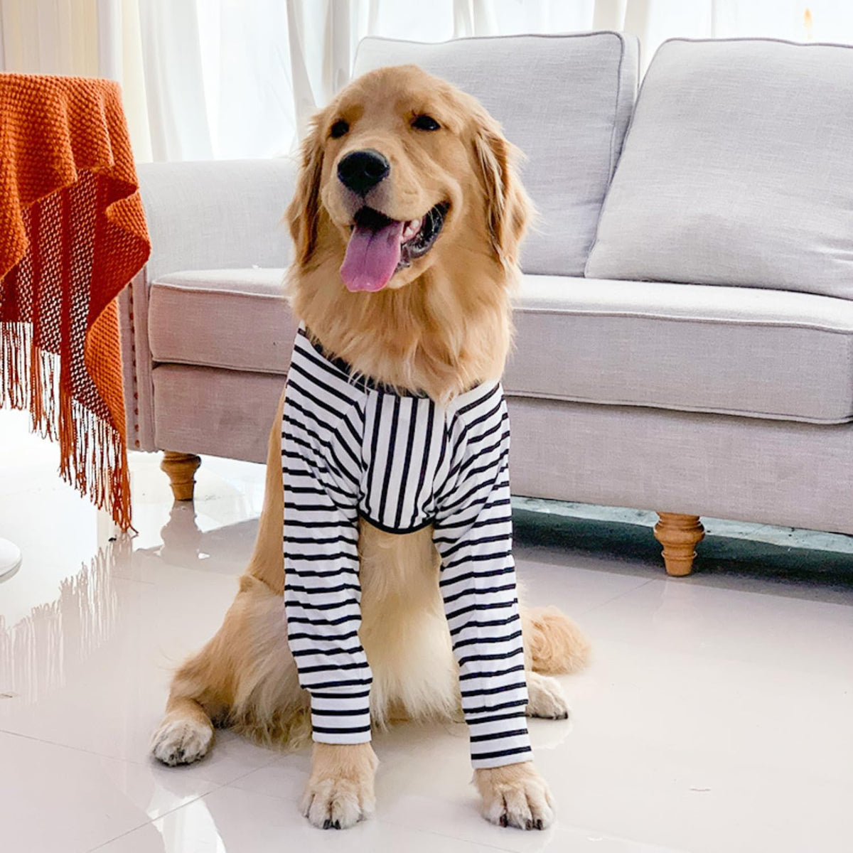 Harikaji Pet Supplies in L-Length 9'' Girth<8.2'', Stripe