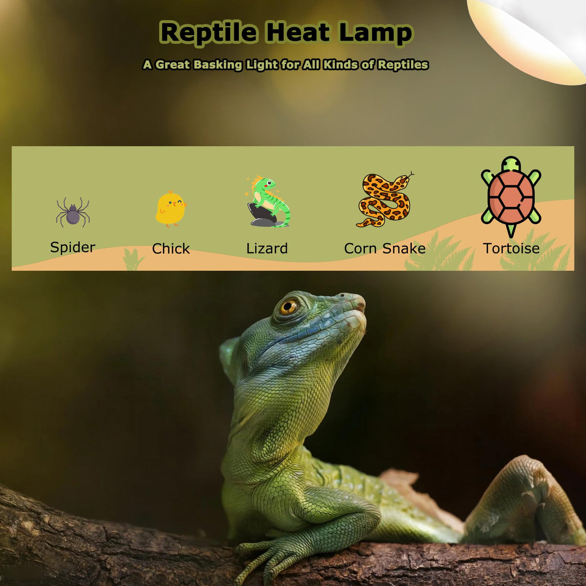 HARTOMPET Light Bulb in 60W - 2.5", Yellow