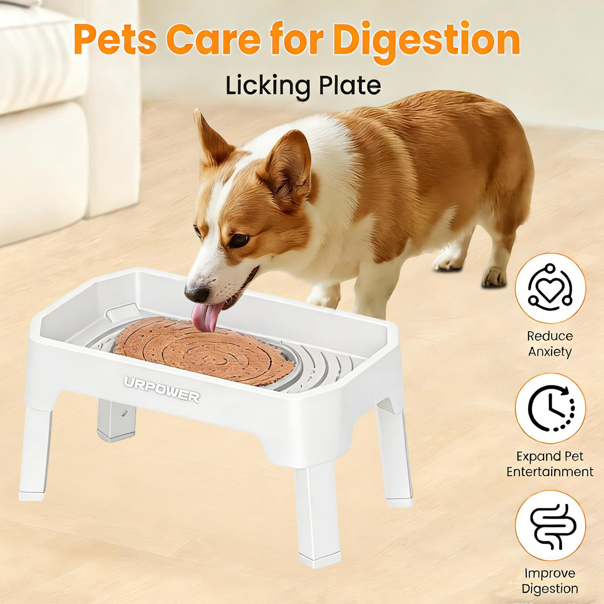 URPOWER Pet Feeder in Large, Light Grey