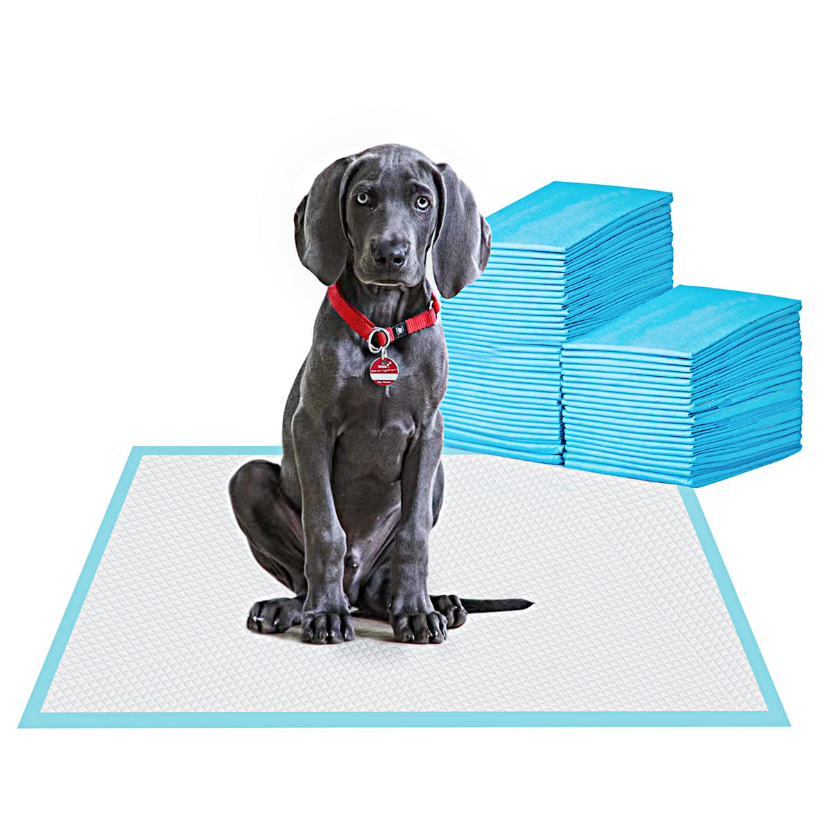 BESTLE Disposable Incontinence Surface Protector in 24"x24"-80 Count, Blue
