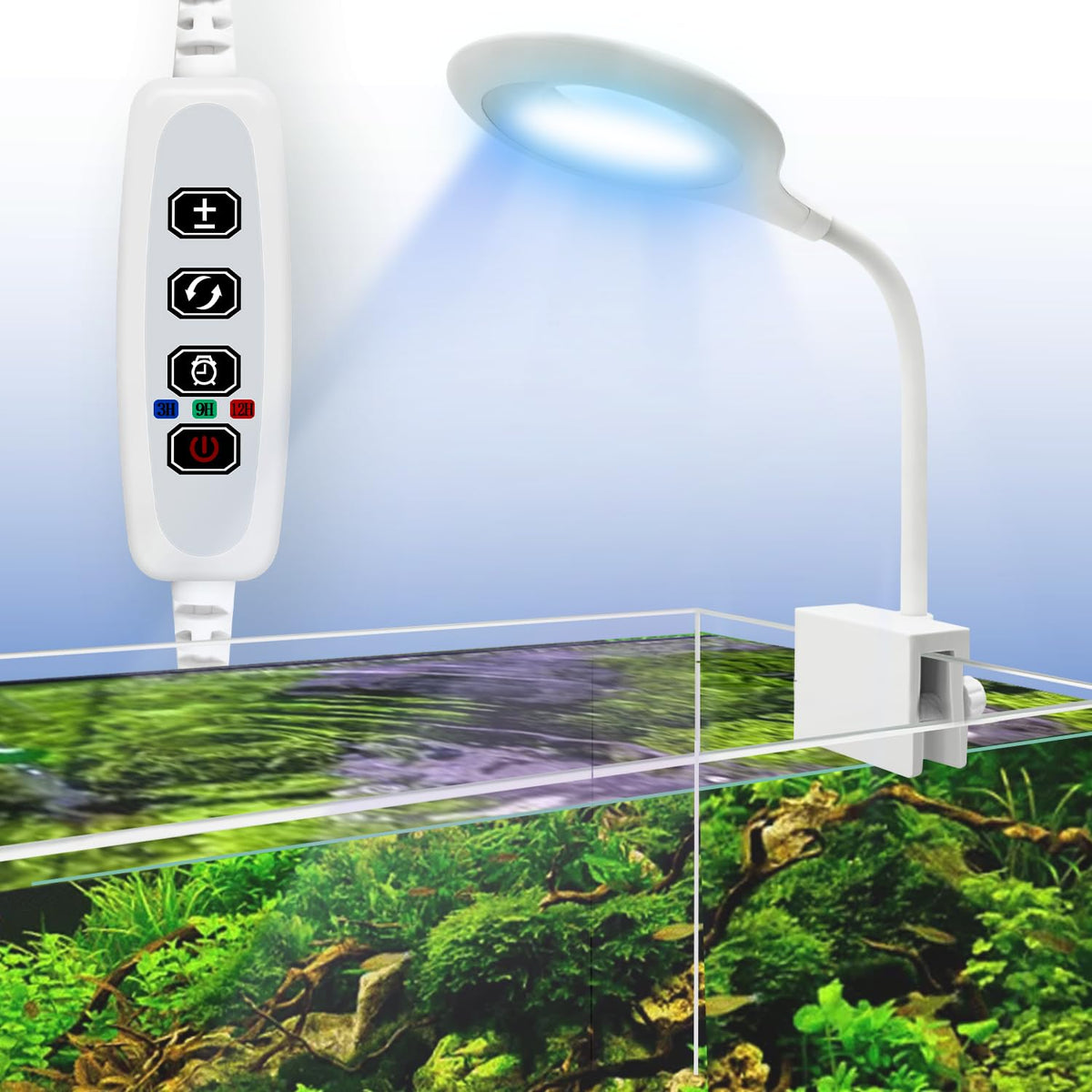 Teddykala Lamp in Oval+BlueWhite+Timer+Dimmer+8 Gal, White