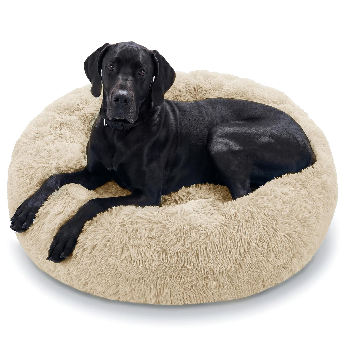 JOLLYVOGUE Pet Bed Mat in 45", Off - White