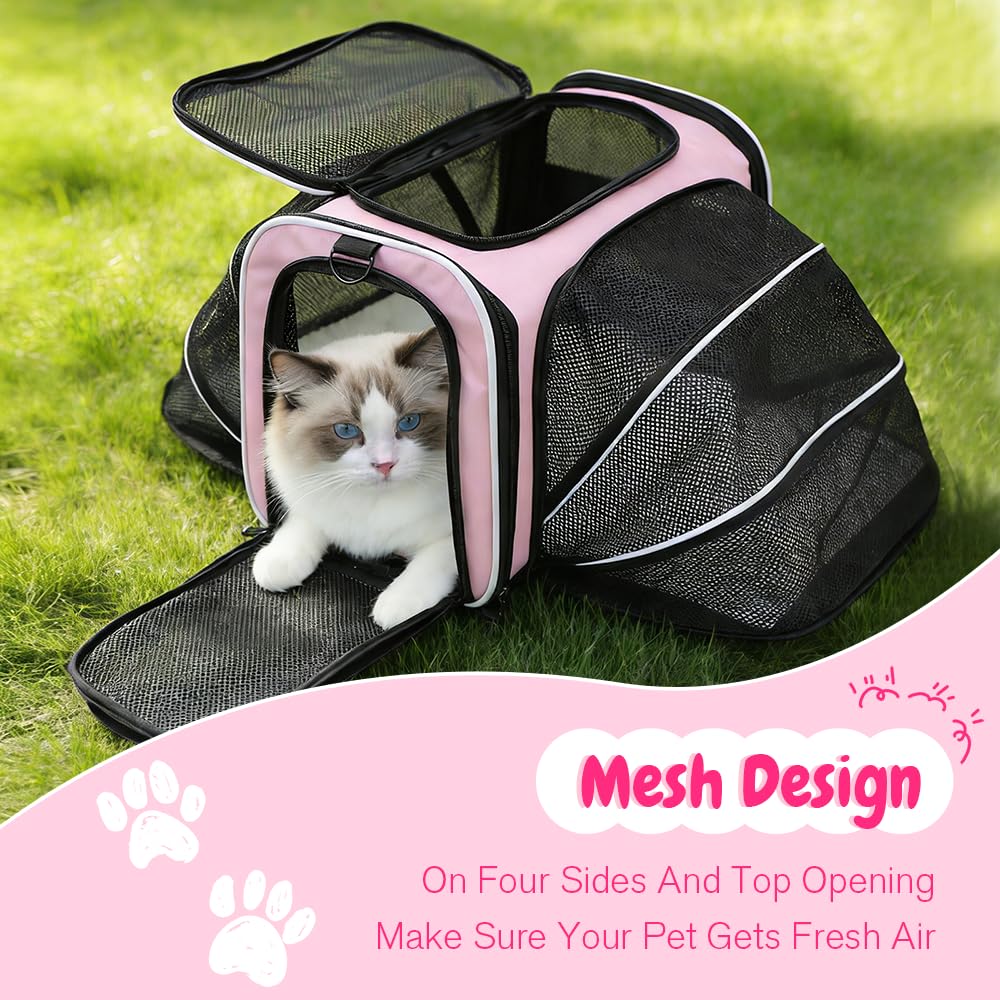 Srinlon ㅤ Animal Carrier in 18.0"L x 11.0"W x 11.0"H, Pink