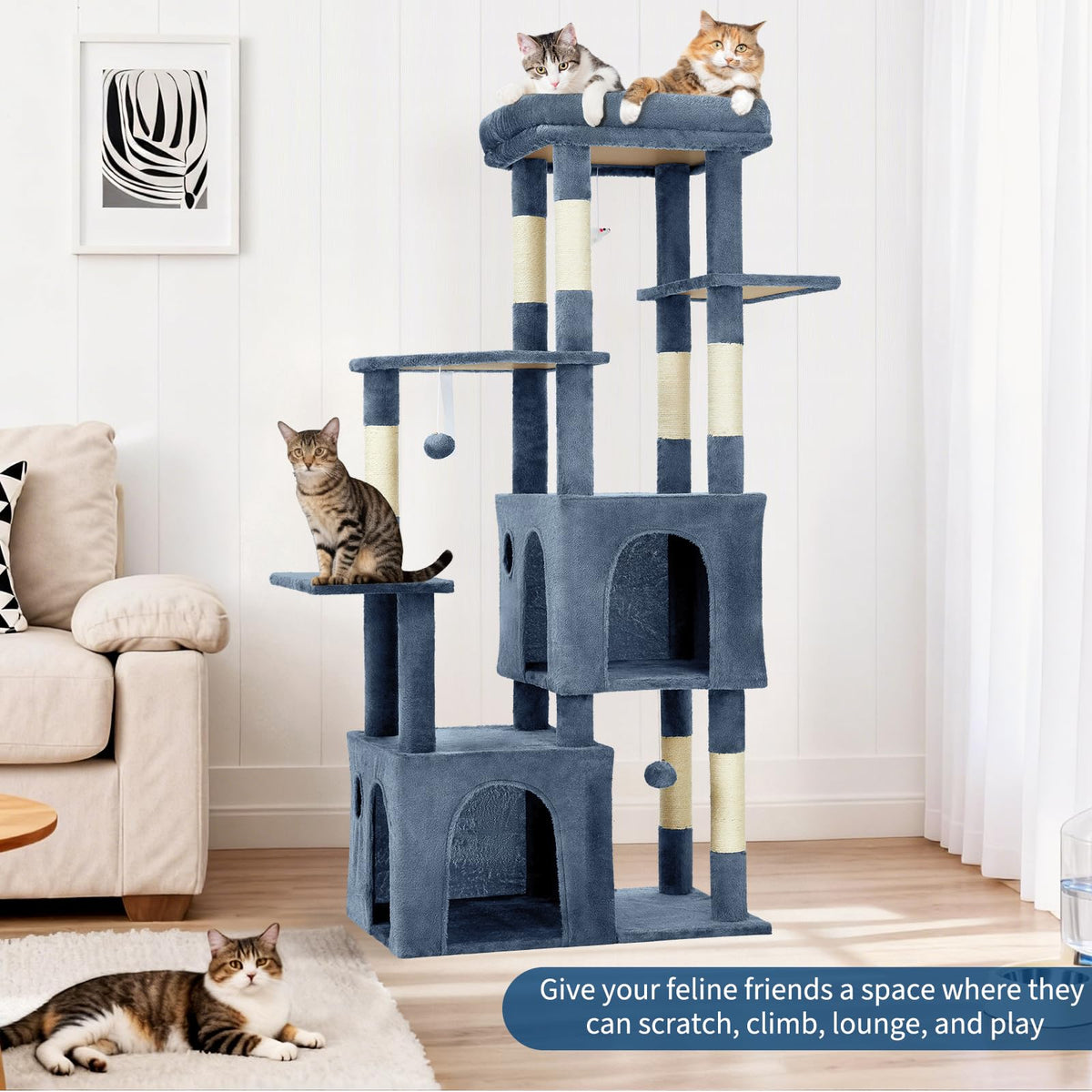 OUTLANE Pet Activity Structure in Light blue, Light Blue