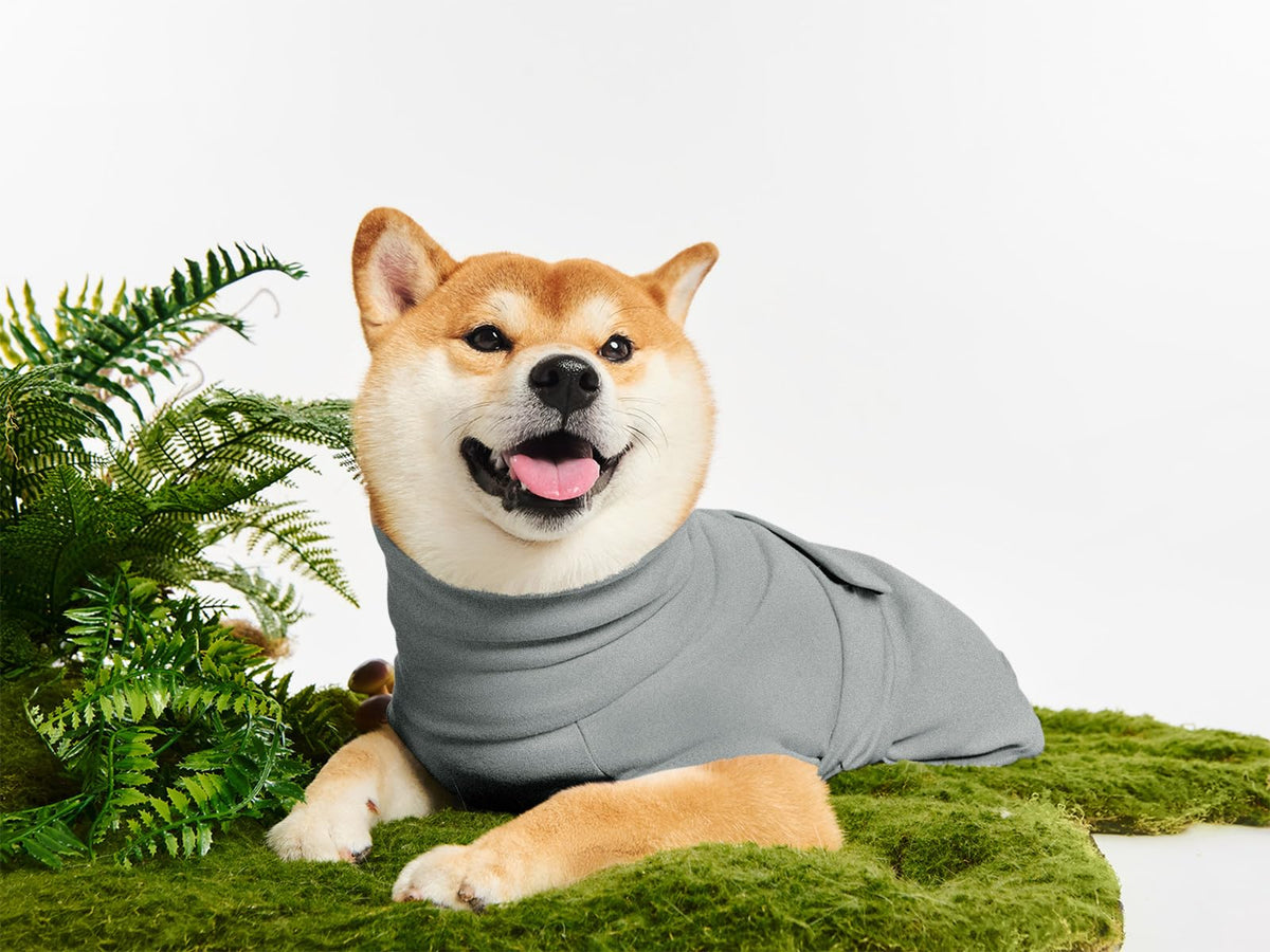 Haloumoning Pet Apparel in X-Small, Grey