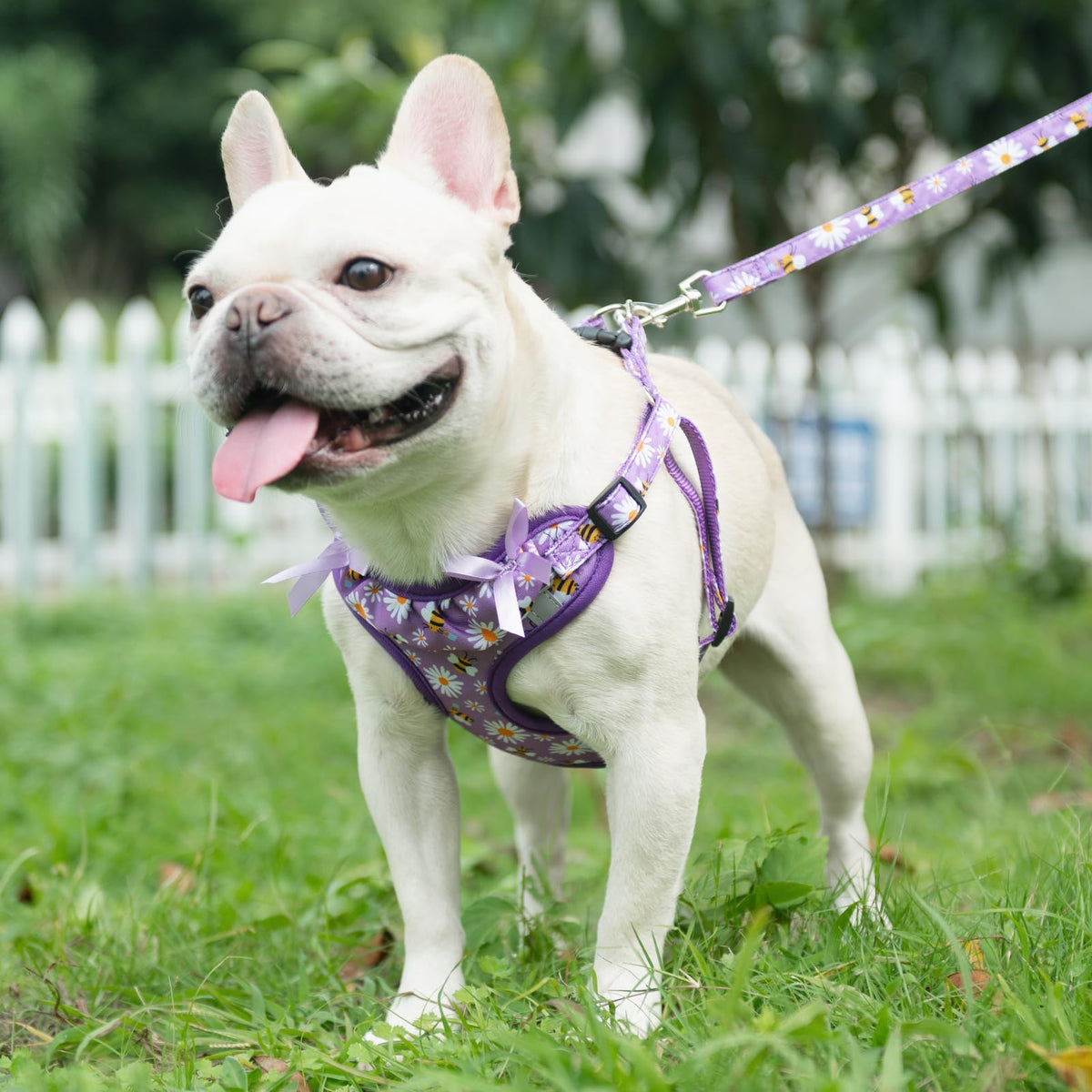 PUPTECK Animal Harness in M (17-25lbs, Chest 17"-21"), #2 Purple(Daisy Print)