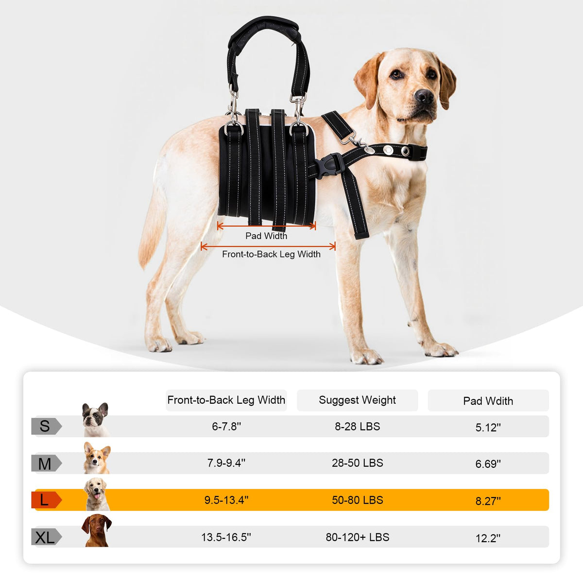 CWV Animal Harness in Large, Black