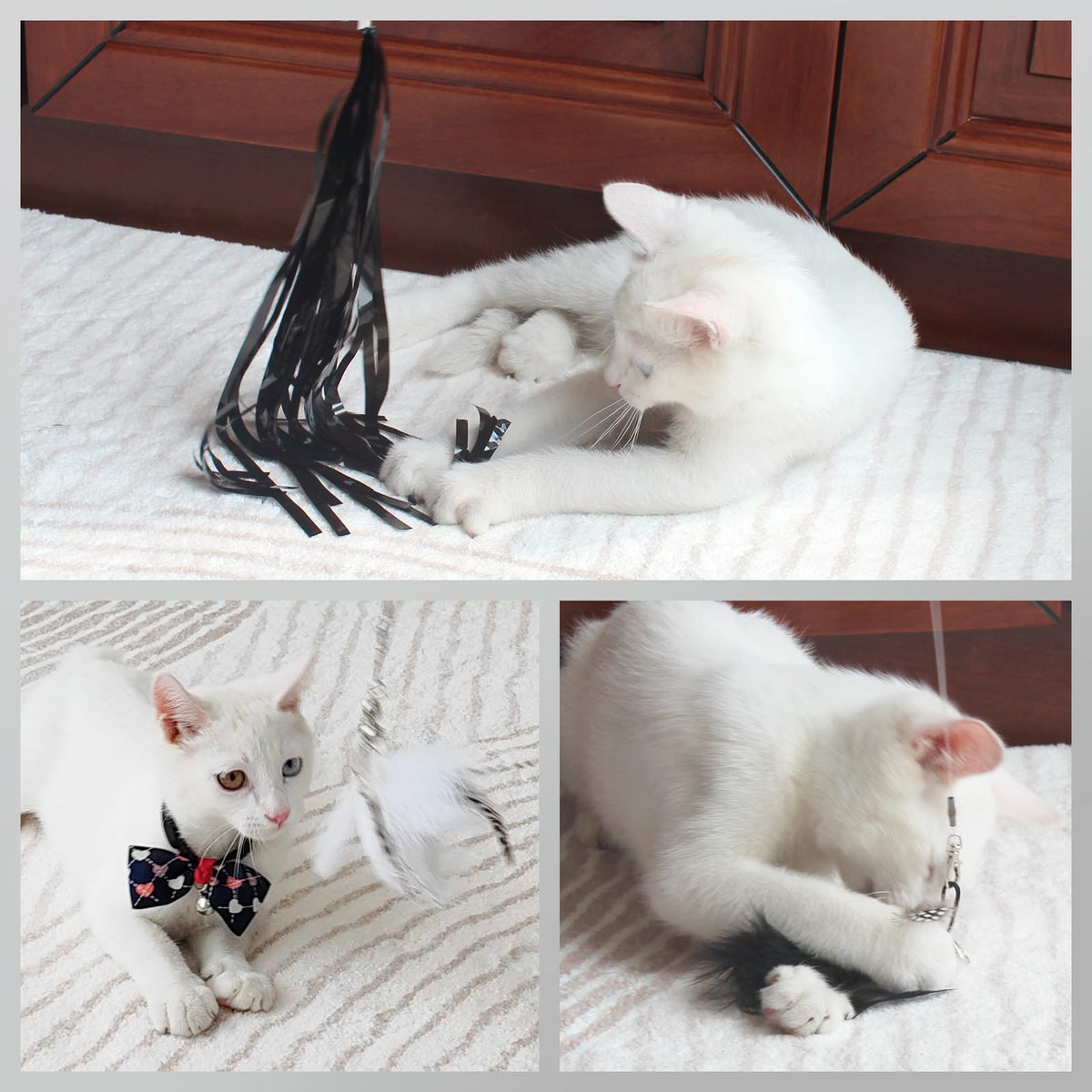 SONGWAY Pet Toy in Black