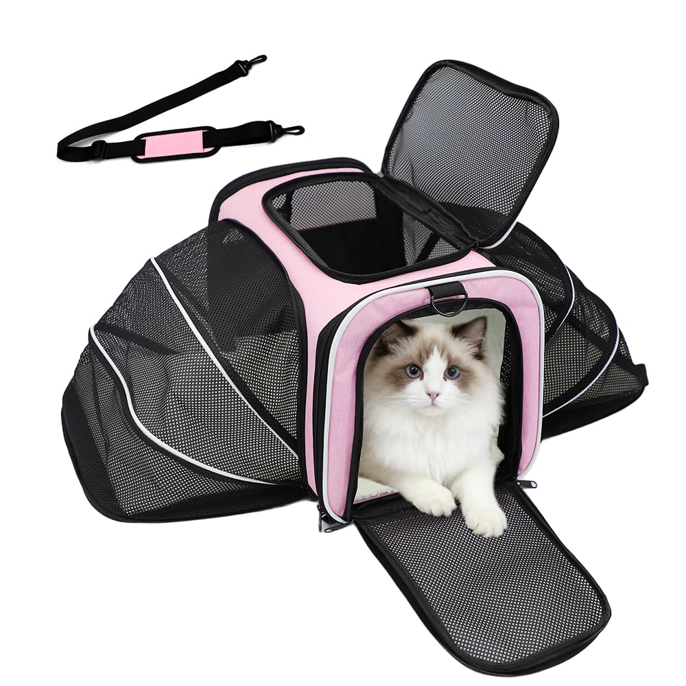 Srinlon ㅤ Animal Carrier in 18.0"L x 11.0"W x 11.0"H, Pink