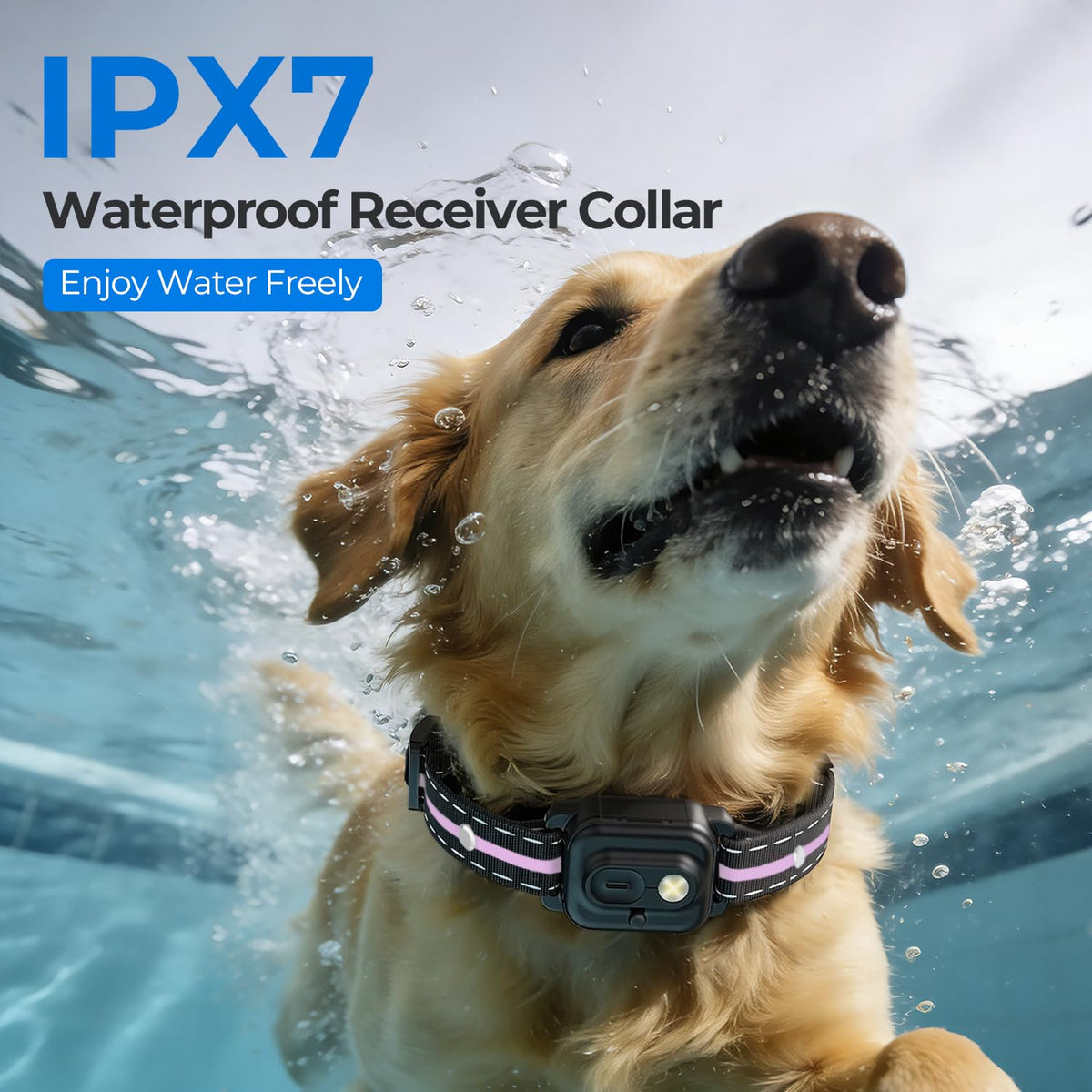 RPZ Animal Collar in 1 Receiver, Pink