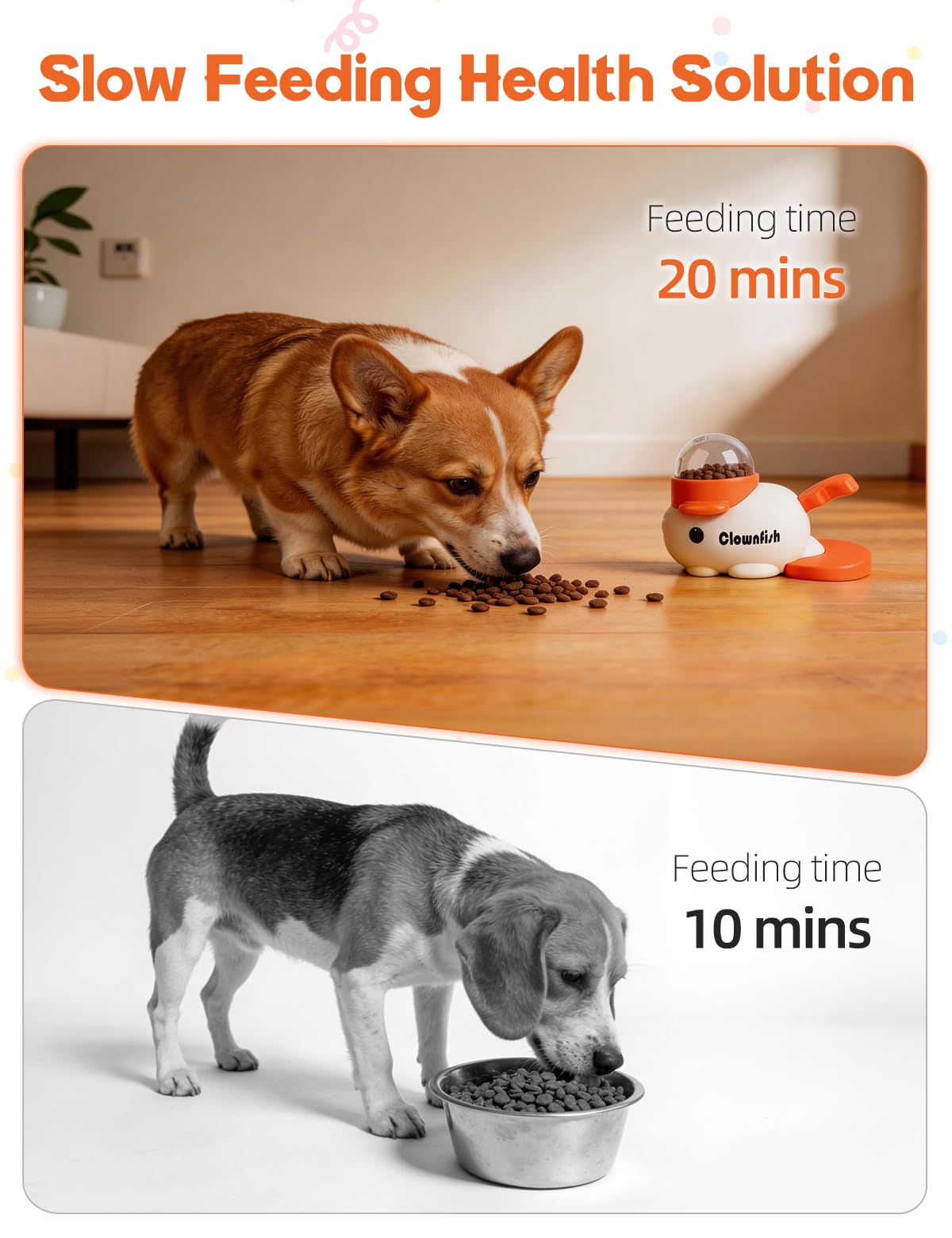 Generic Pet Feeder in white