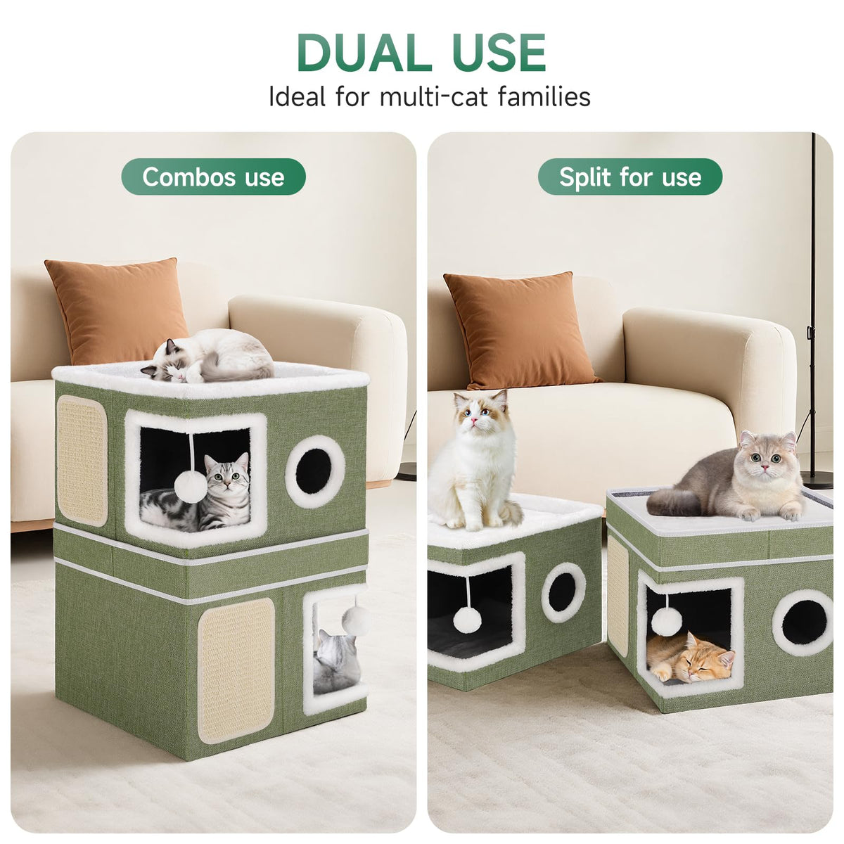Shikha Animal Shelter in Double, Green