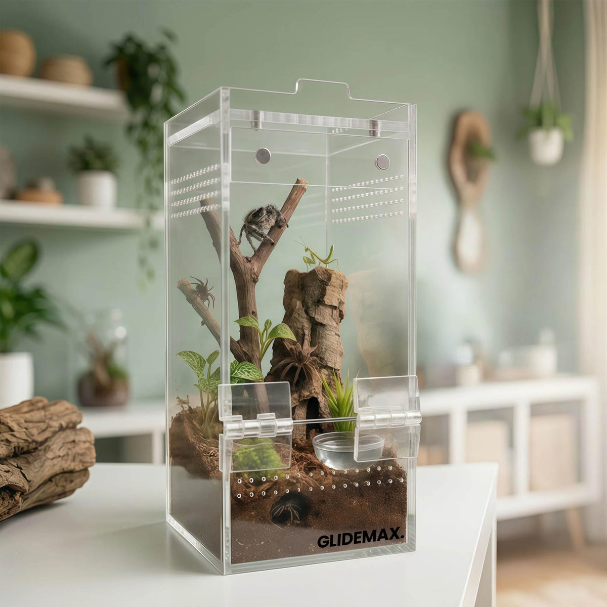 GlideMax Vivarium in 3x3x6inch, Transparent