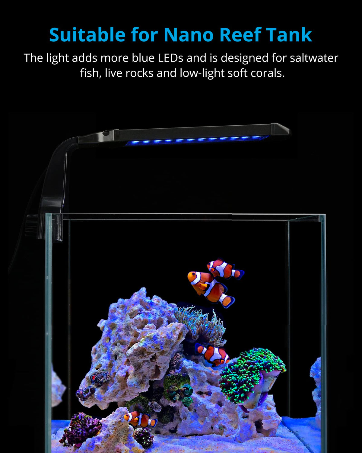 NICREW Lamp in For Freshwater, Blue,White