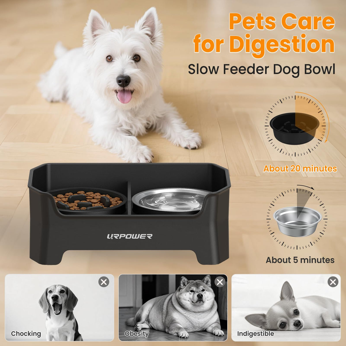 URPOWER Pet Feeder in Small, Black