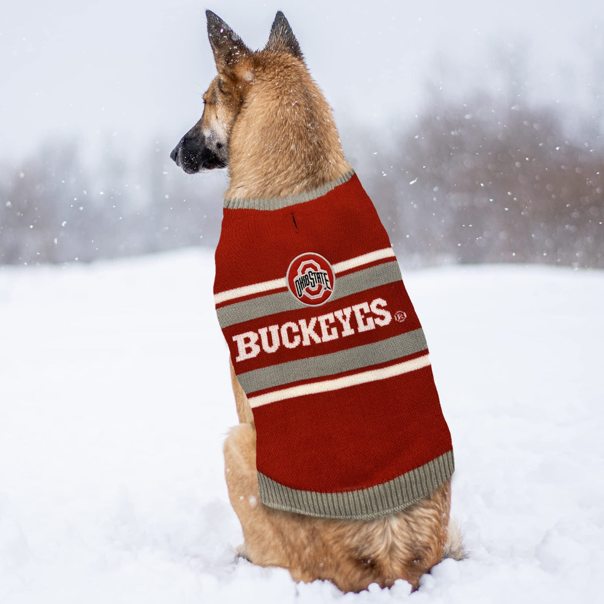 Pets First Pet Apparel in X-Small, Ohio State Buckeyes