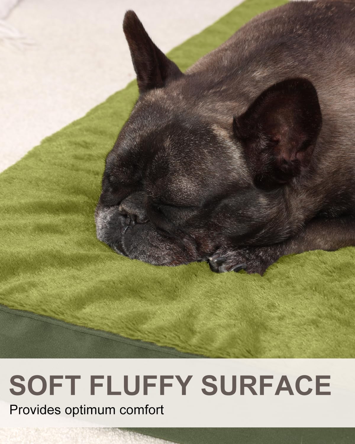 KSIIA Pet Bed Mat in 23.0"L x 17.0"W x 3.0"Th, Green