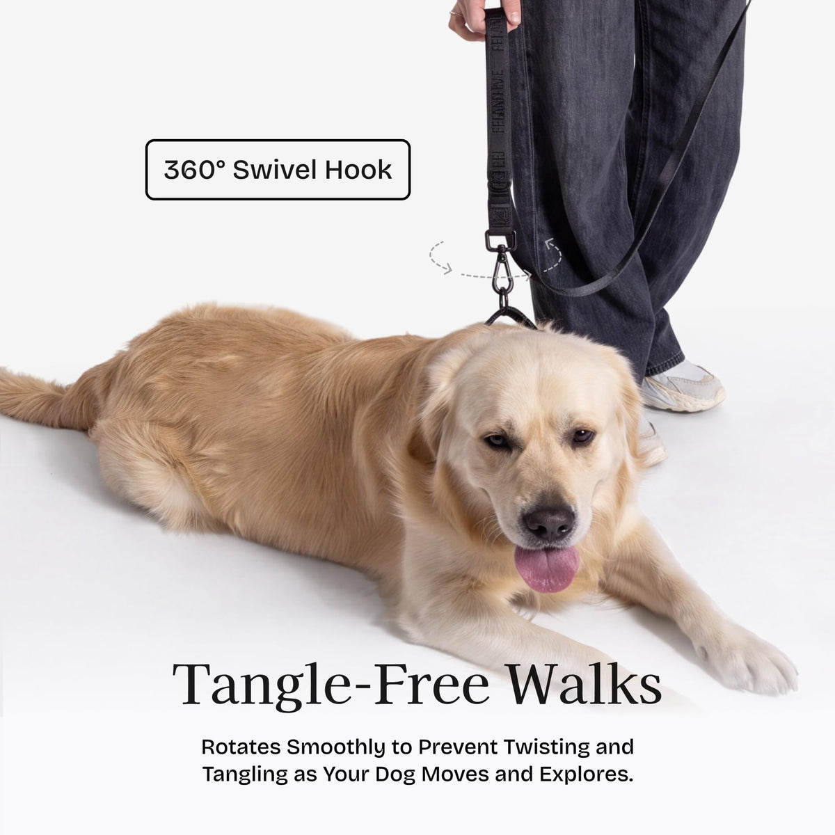 Fei and Eve Leash in 6FT, Black