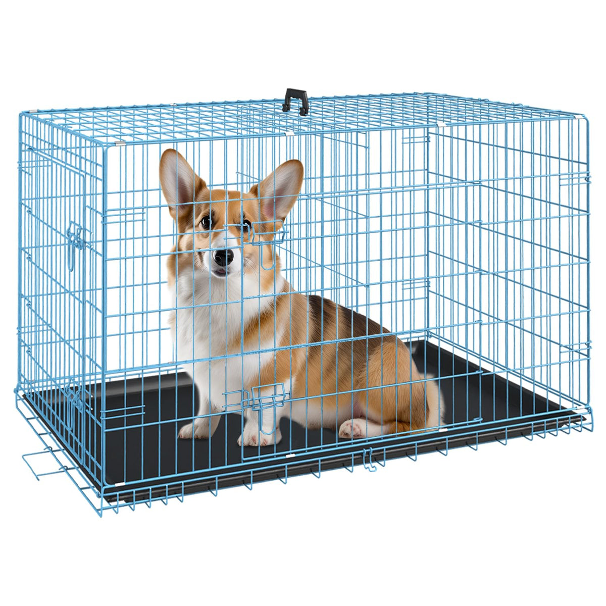 FDW Animal Cage in 30.0"L x 18.0"W x 20.0"H, Blue