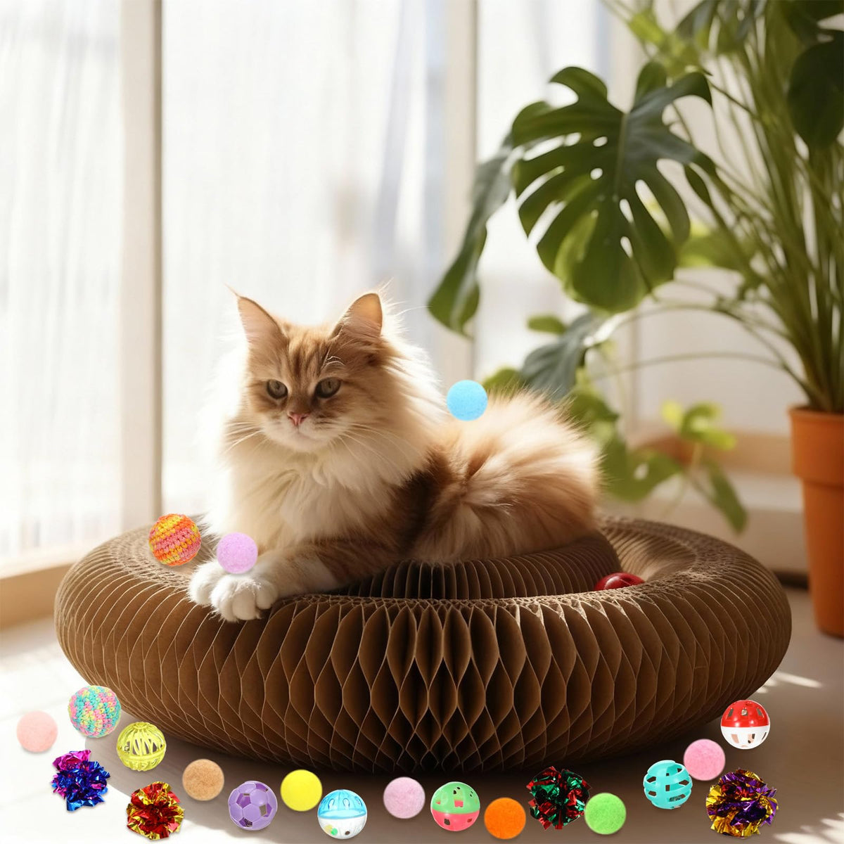 Zopeal Pet Activity Structure in colorful