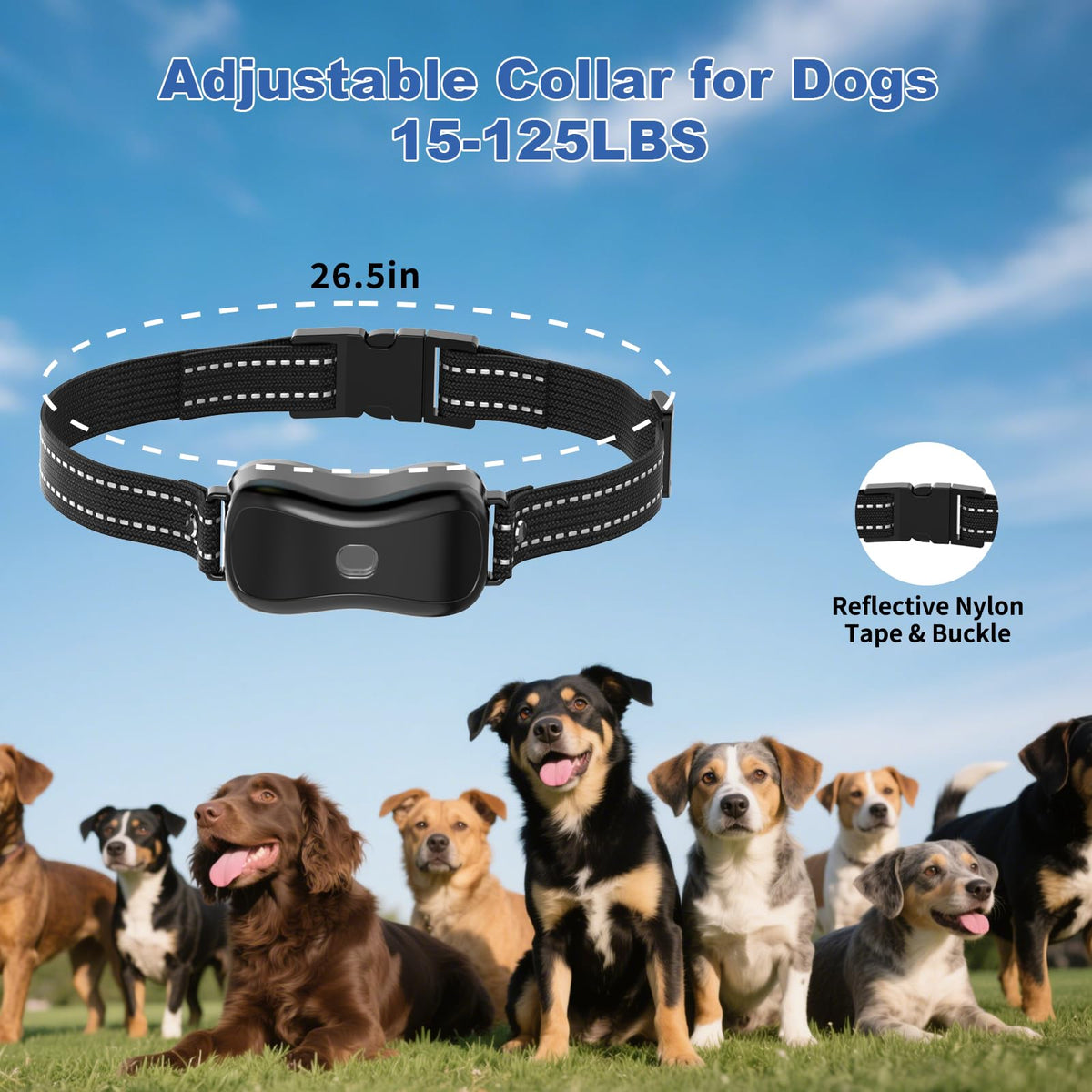 BCPETMY Animal Collar in 1 Pack, Black-Grey