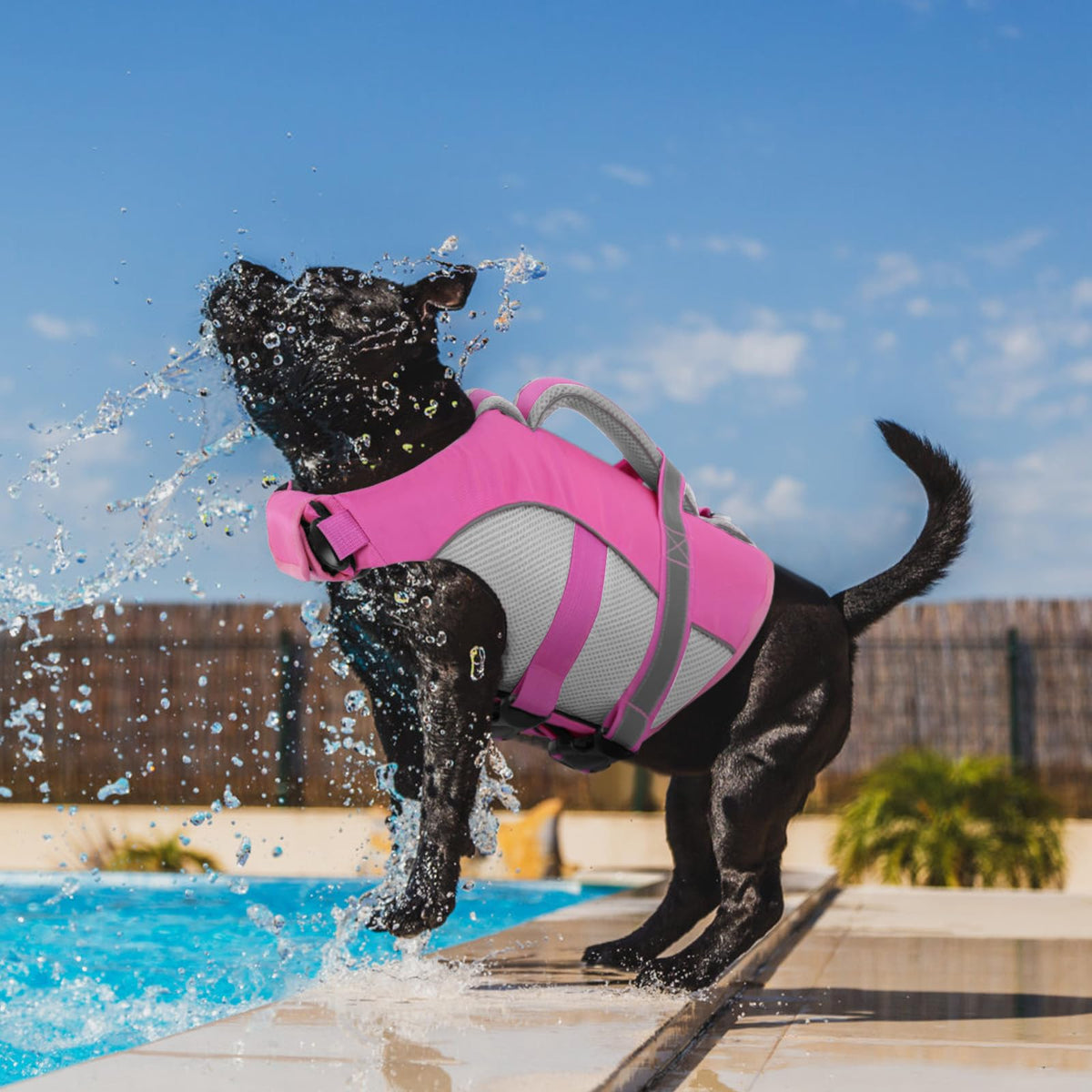 Queenmore Pet Apparel in X-Small, Pink