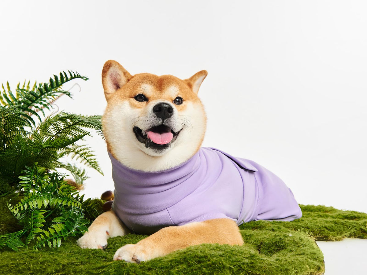 Haloumoning Pet Apparel in X-Small, Purple
