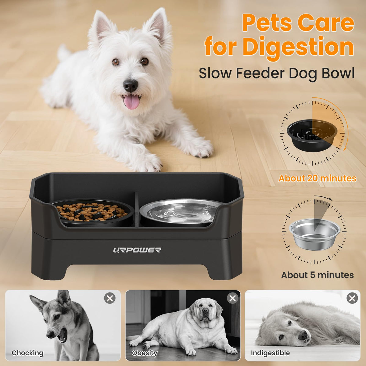 URPOWER Pet Feeder in Large, Matte Black