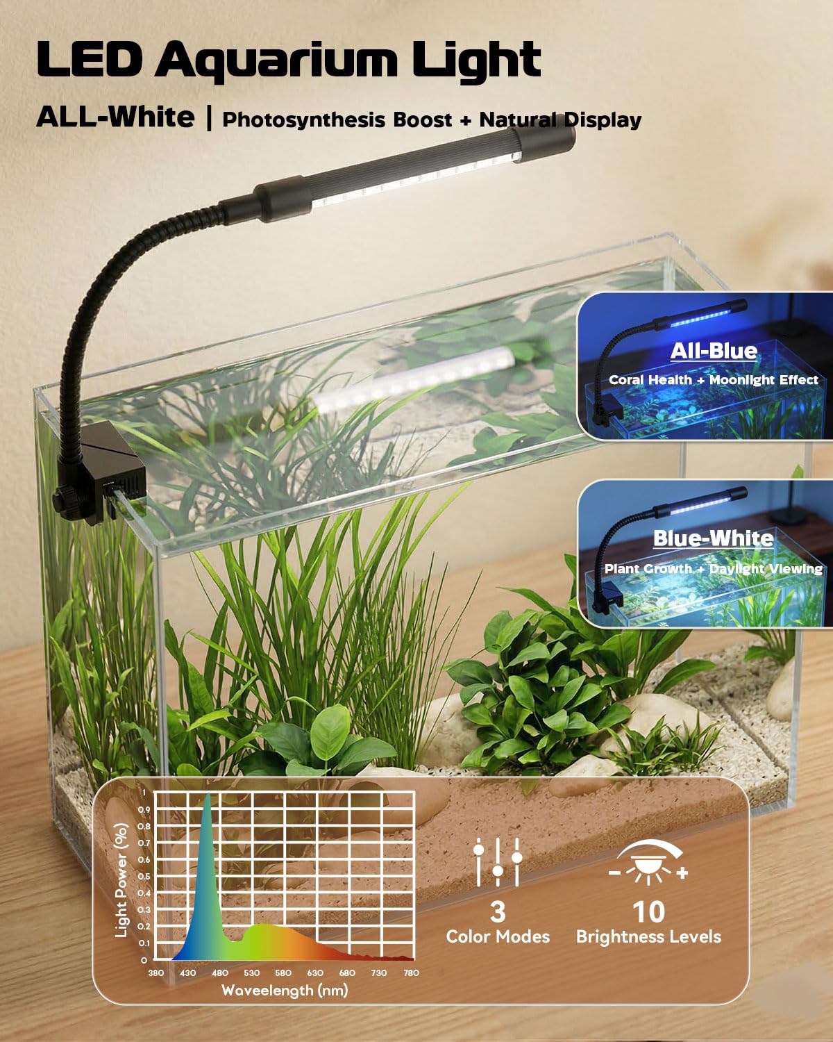 minilake Vivarium in 3 Gallon, Transparent