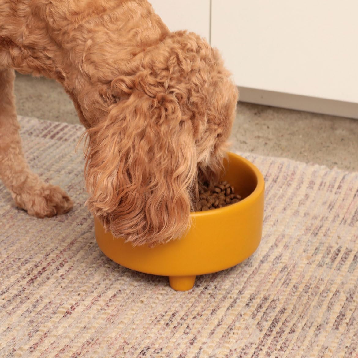 Waggo Pet Feeder in Medium, Mustard