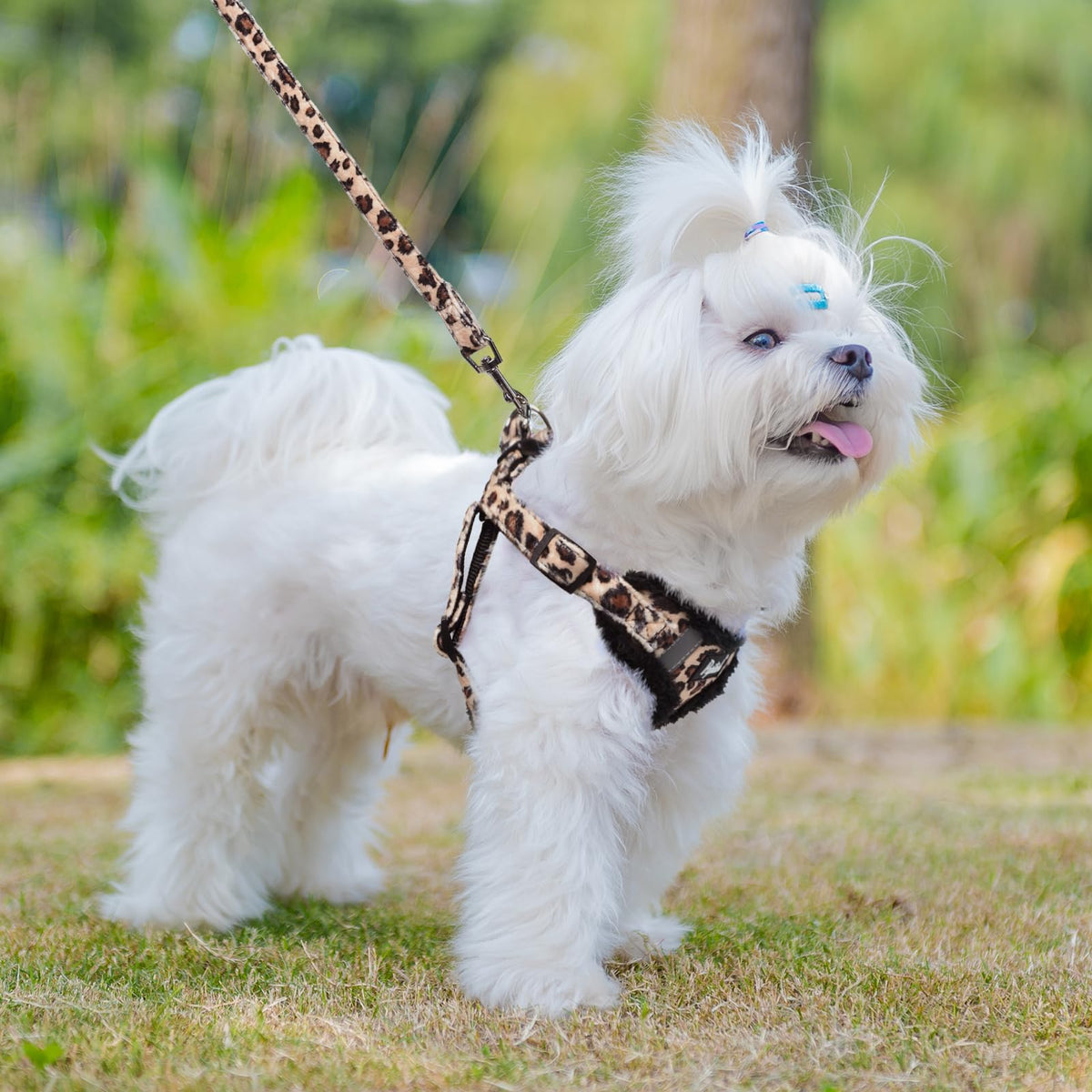 PUPTECK Animal Harness in XS (9-13lbs, Chest 14"-16"), #3 Brown(Plush Leopard Print)