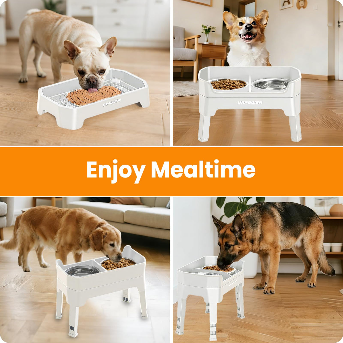 URPOWER Pet Feeder in Large, Light Grey