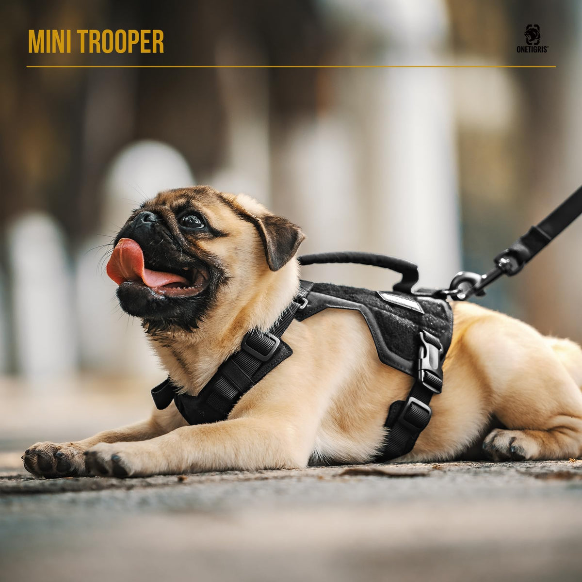 ONETIGRIS Animal Harness in XXS, Black